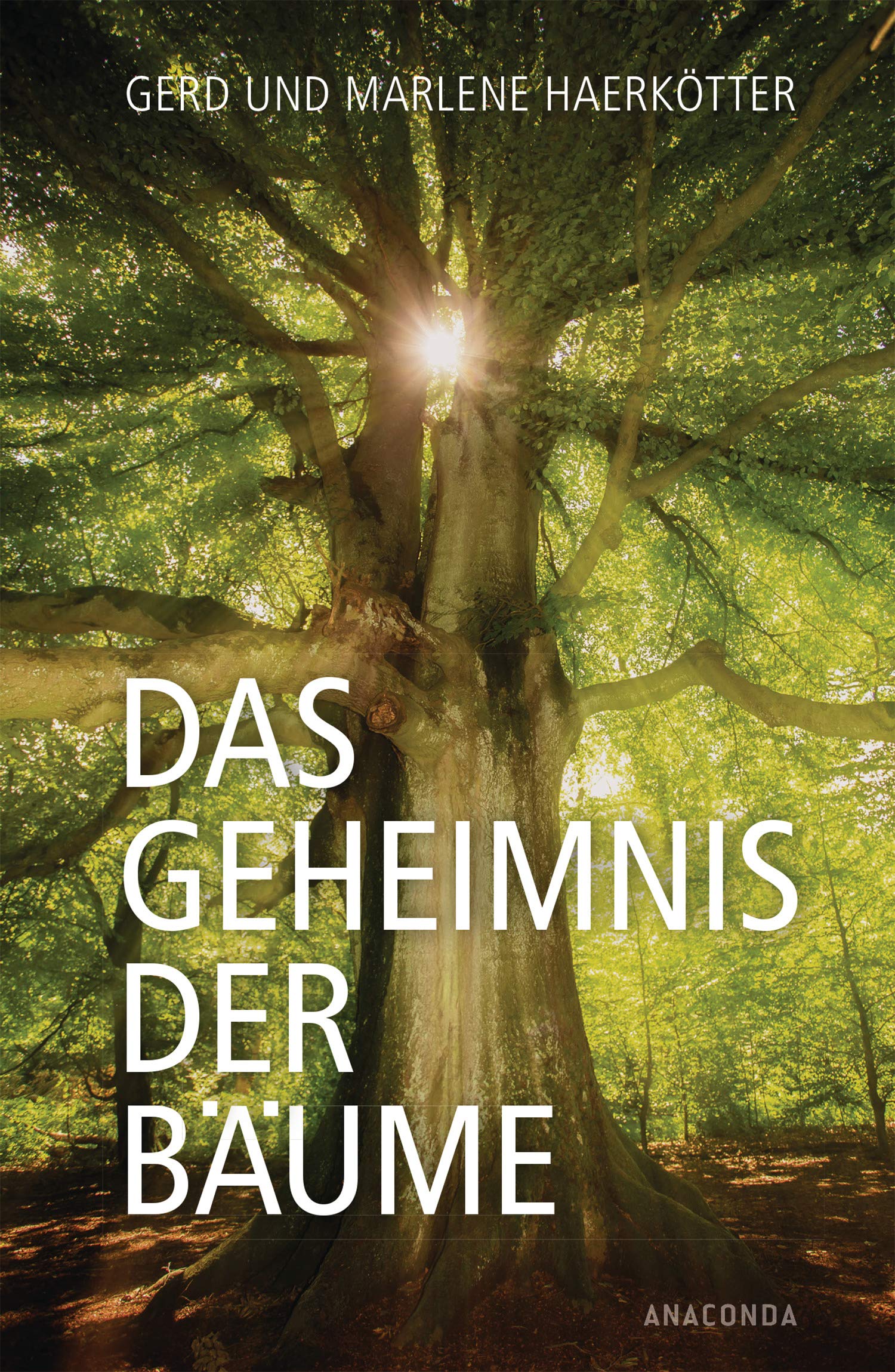 Product Image: Das Geheimnis der Bäume