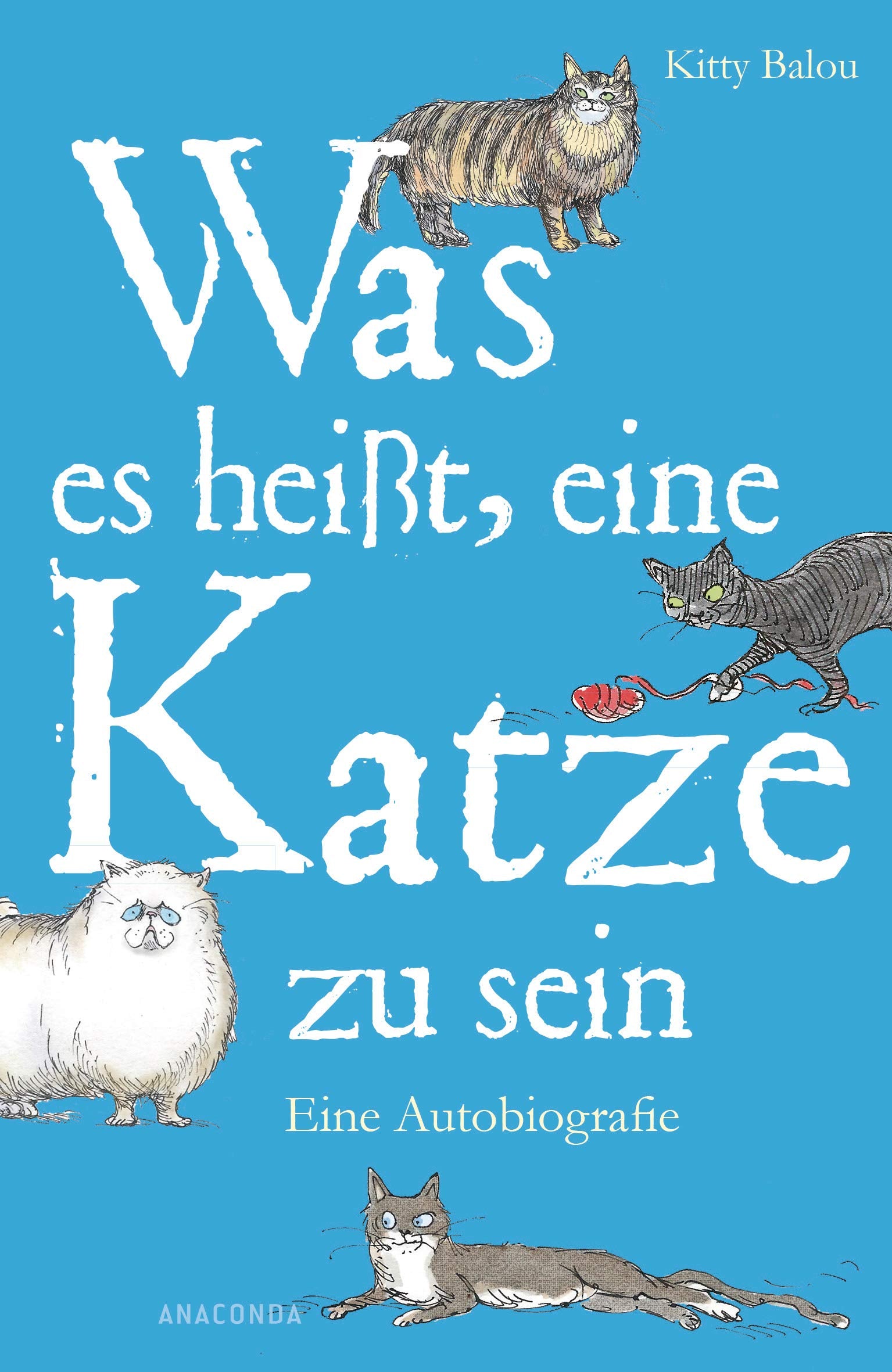 Was es heißt, eine Katze zu sein Humour & Satire