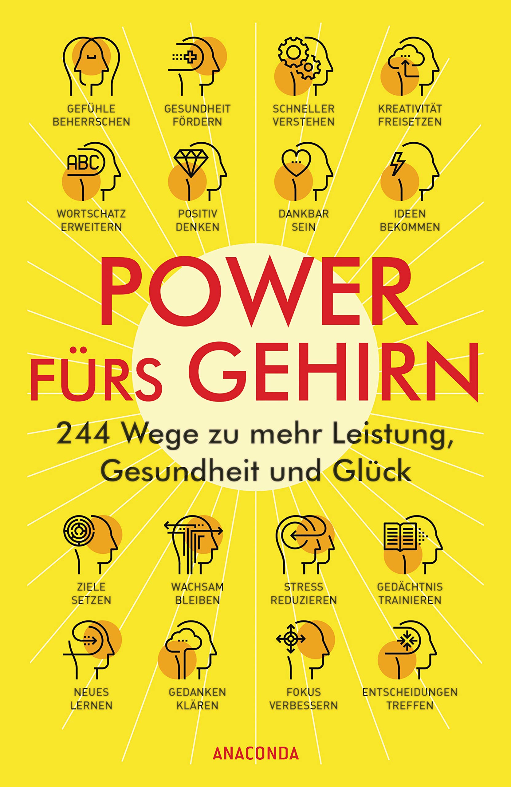 Product Image: Power fürs Gehirn