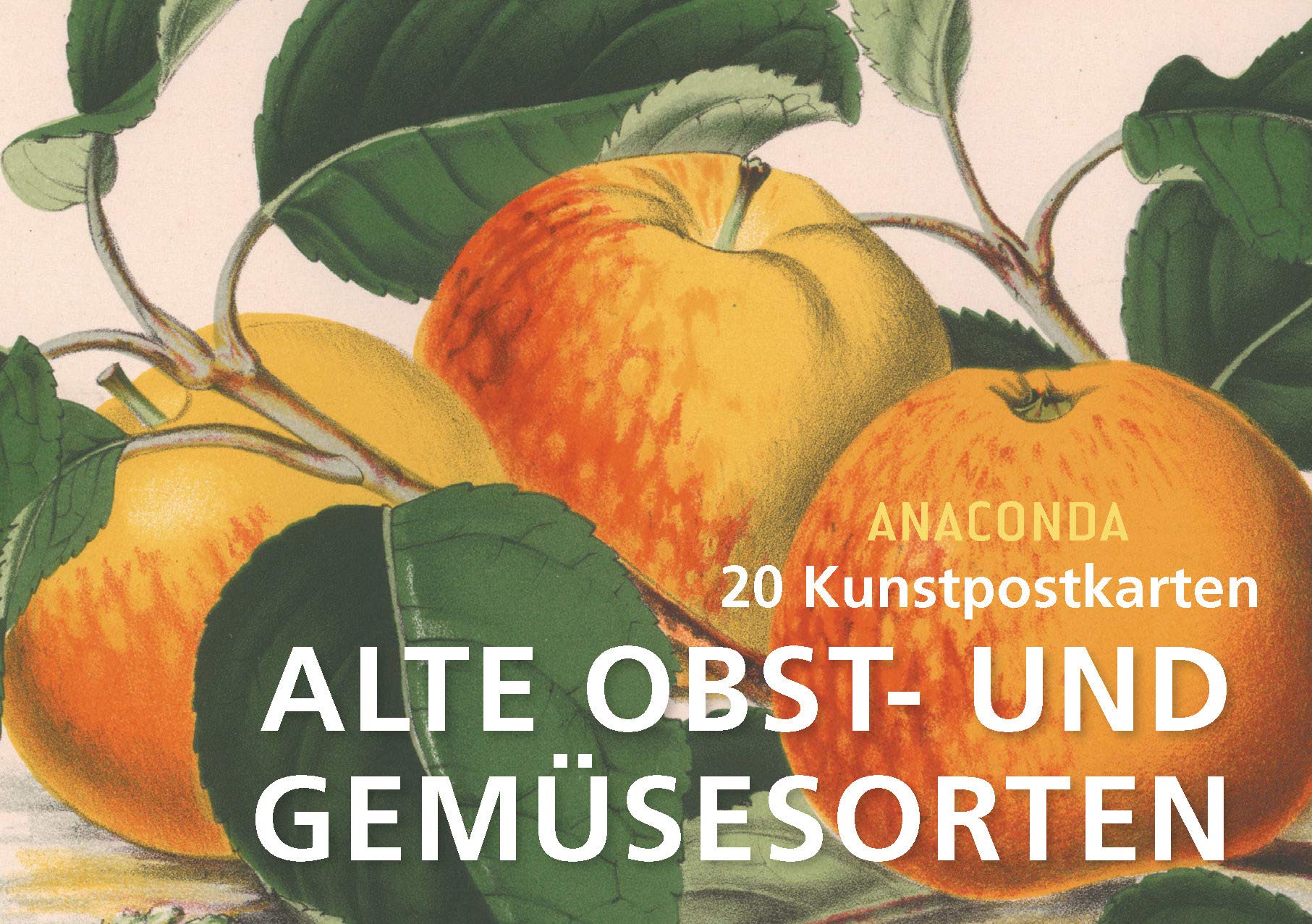 Postkartenbuch Alte Obst- und Gemüsesorten Film, Art & Culture