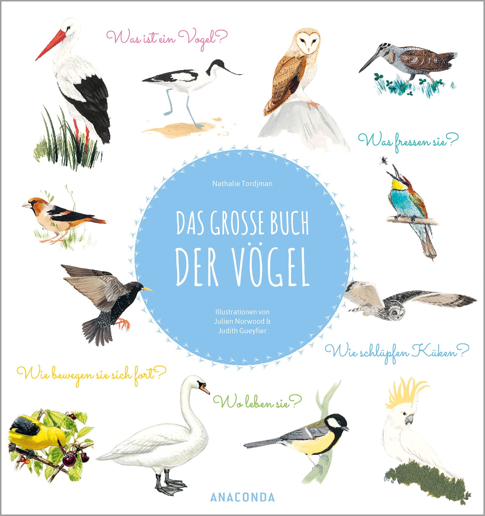 Das große Buch der Vögel Natural Sciences