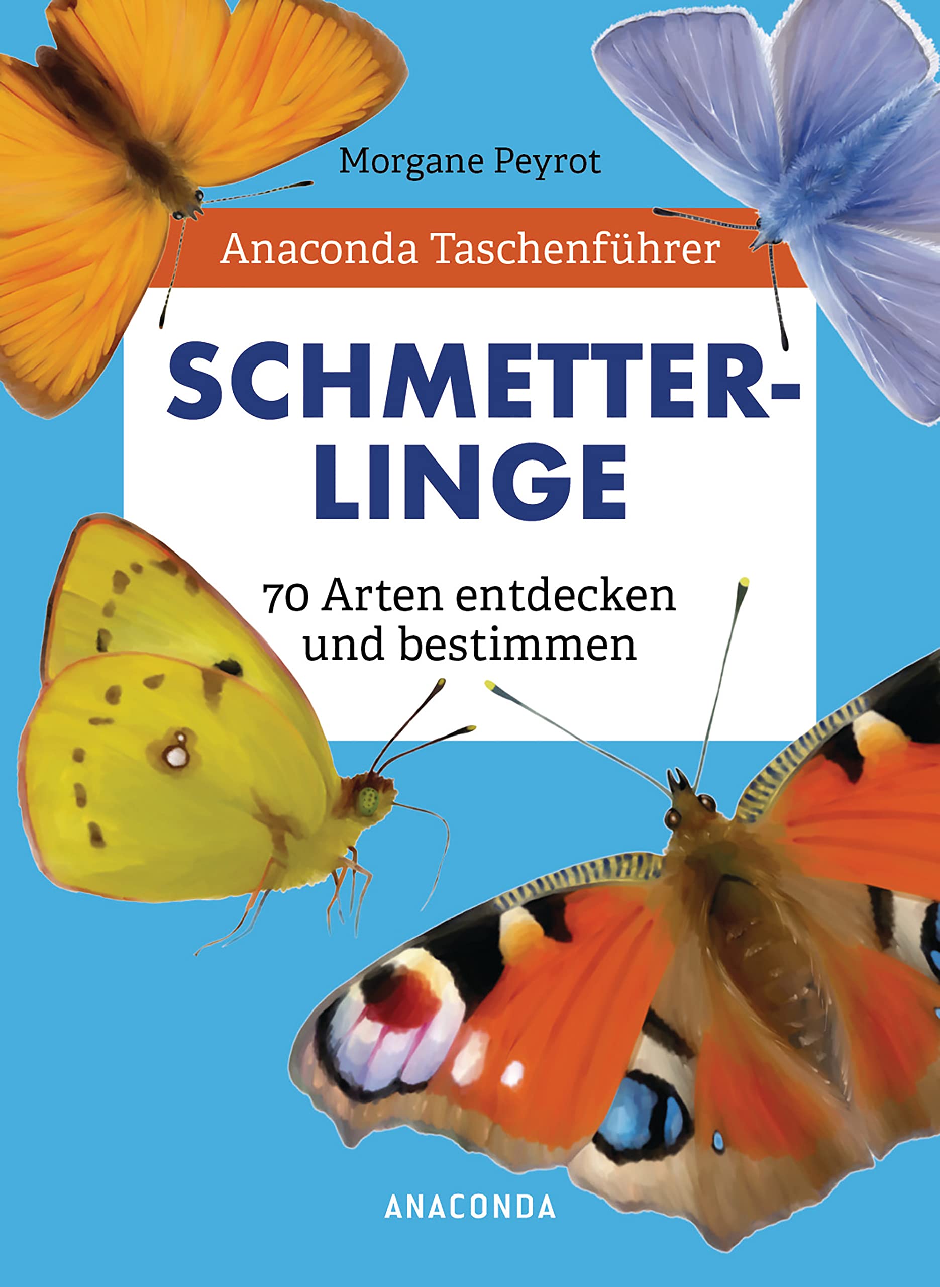 Anaconda Taschenführer Schmetterlinge. 70 Arten entdecken und bestimmen: Der handliche Naturführer für unterwegs. Mit Daumenregister Leisure, Home & Garden