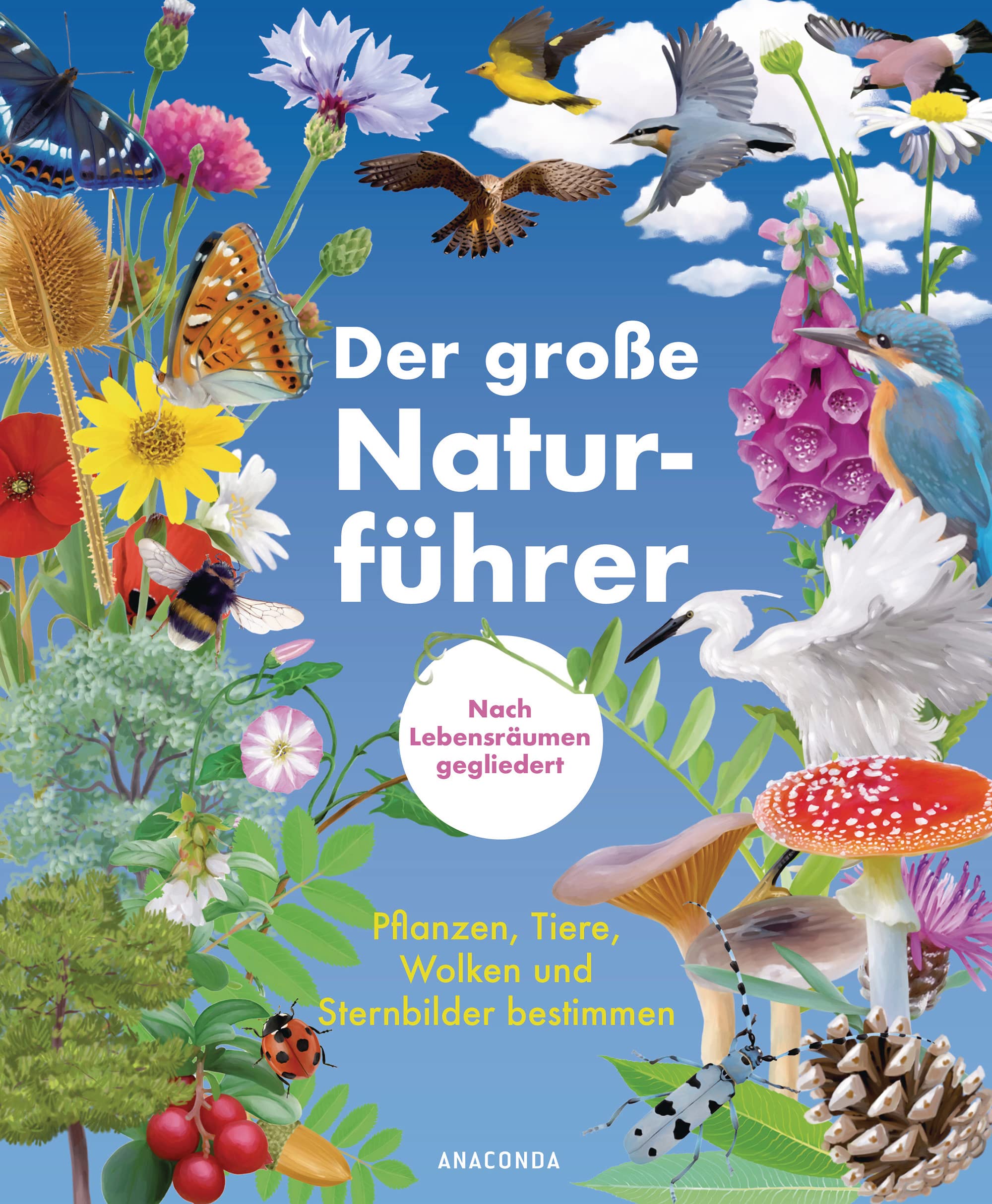 Der große Naturführer. Pflanzen, Tiere, Wolken und Sternbilder bestimmen. Nach Lebensräumen gegliedert: Berge, Küste, Wald, Wiese, Seen & Flüsse Garden & Plants