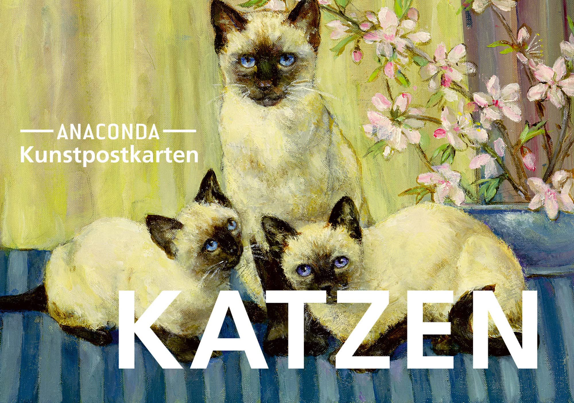 Postkarten-Set Katzen: 18 Kunstpostkarten aus hochwertigem Karton. ca. 0,28€ pro Karte (Anaconda Postkarten, Band 38) Film, Art & Culture