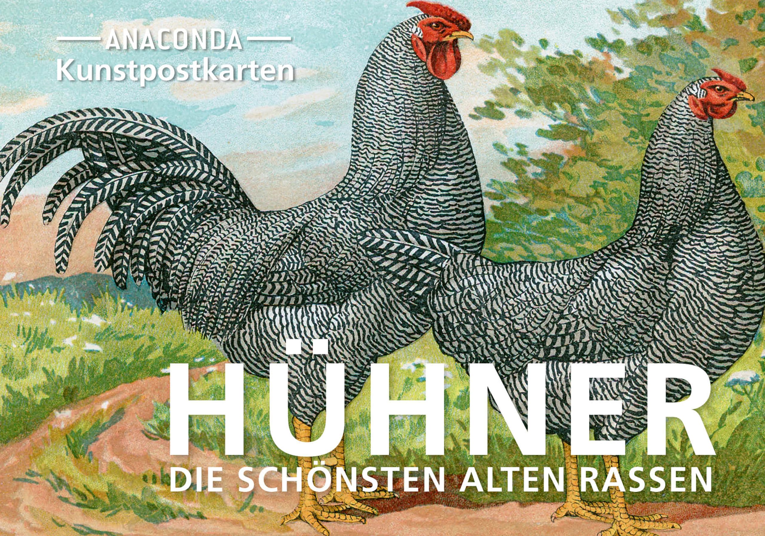 Postkarten-Set Hühner: 18 Kunstpostkarten aus hochwertigem Karton. ca. 0,28€ pro Karte (Anaconda Postkarten, Band 85) Film, Art & Culture