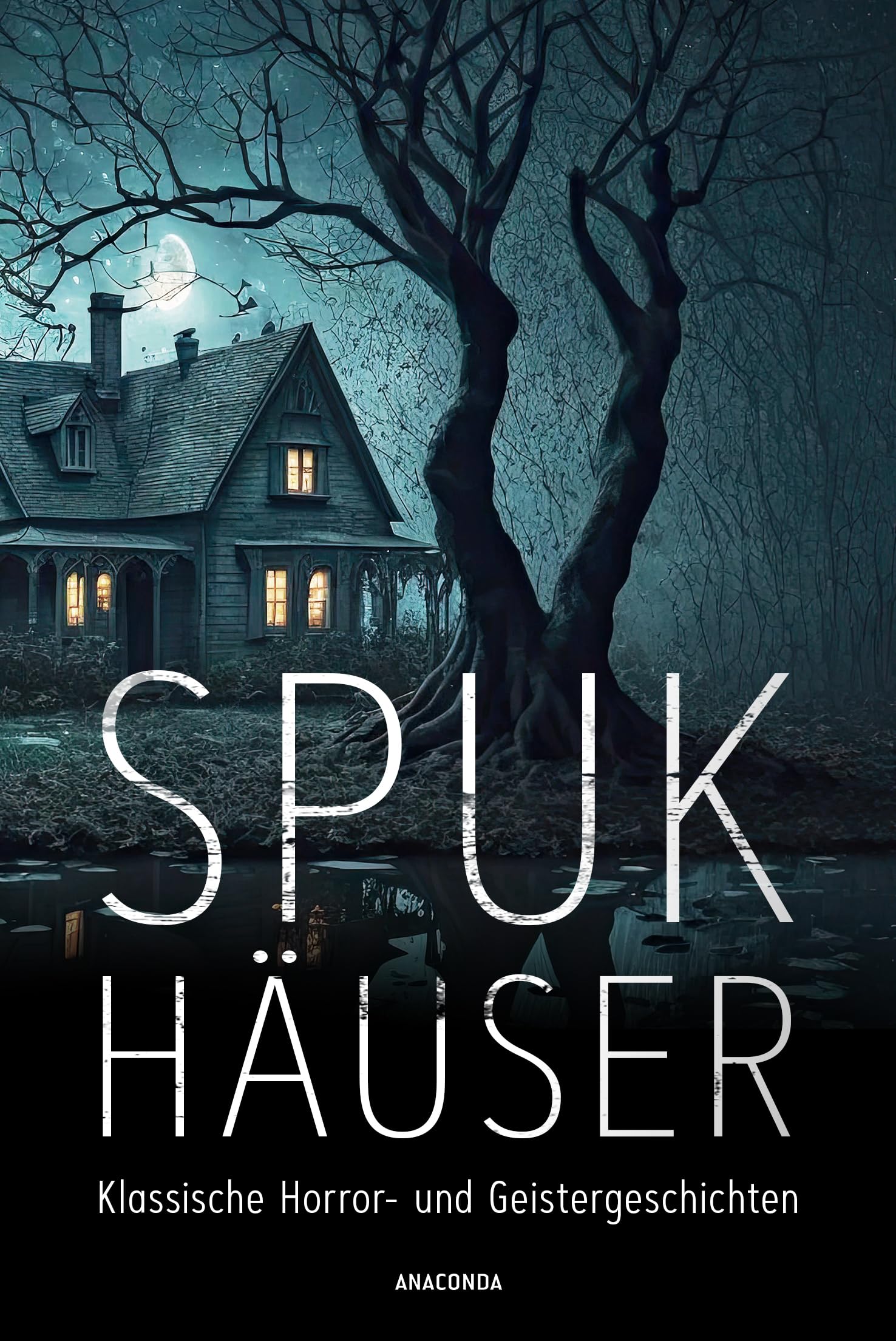 Spukhäuser. Klassische Horror- und Geistergeschichten Contemporary literature