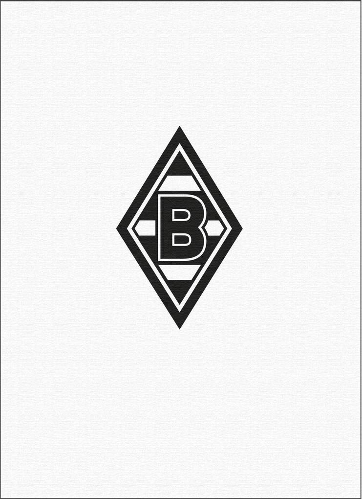 Borussia Mönchengladbach: Die Chronik Leisure & Fun