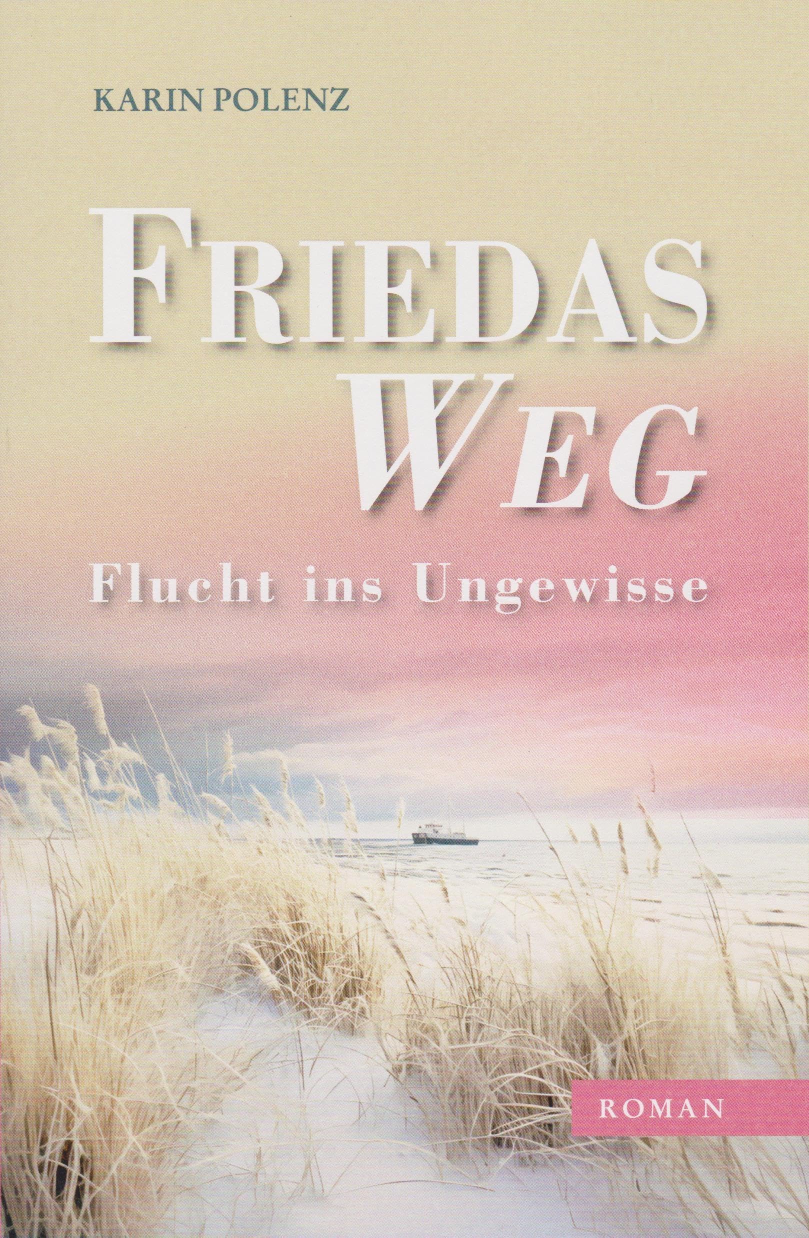 Friedas Weg Contemporary literature Books