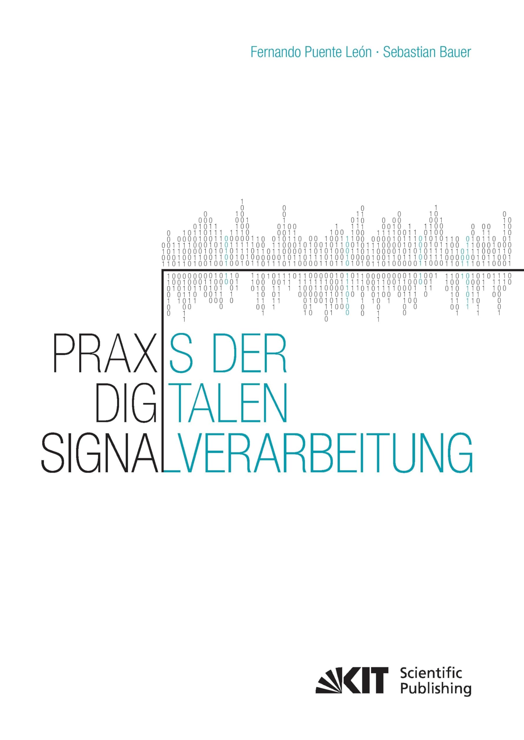 Praxis der Digitalen Signalverarbeitung Business & Technology