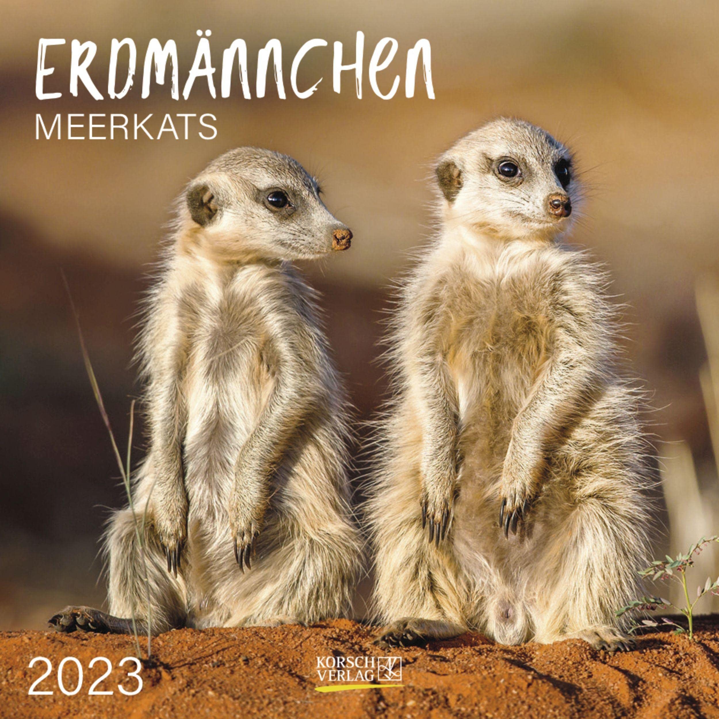 Erdmännchen 2023: Broschürenkalender mit Ferienterminen. Lustige Bilder der witzigen kleinen Tiere. 30 x 30 cm Leisure, Home & Garden
