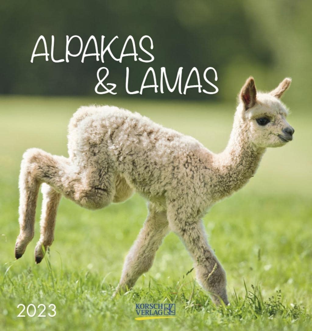 Alpakas und Lamas 2023: Aufstellbarer Postkartenkalender mit Fotos der lustigen Trendtiere. Format 16 x 17 cm Leisure, Home & Garden