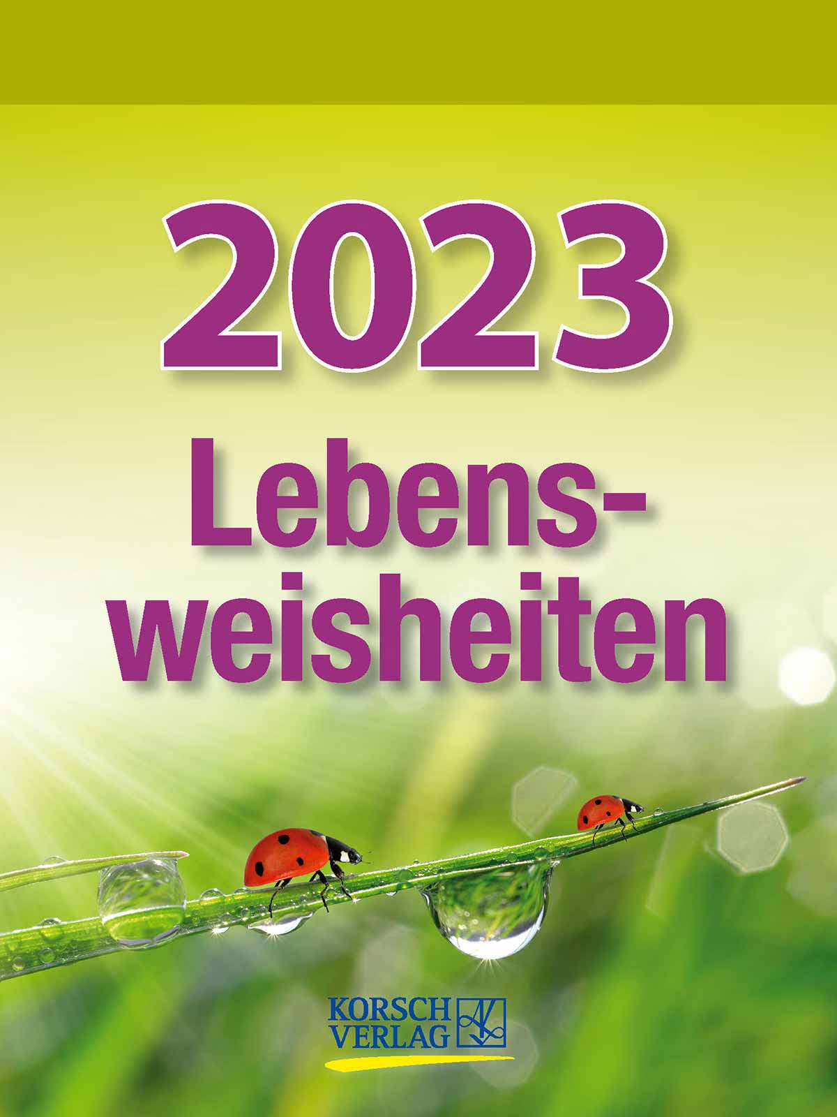 Lebensweisheiten 2023: Tages-Abreisskalender mit einem neuen Spruch für jeden Tag. I Aufstellbar I 12 x 16 cm Business, Finance & Career