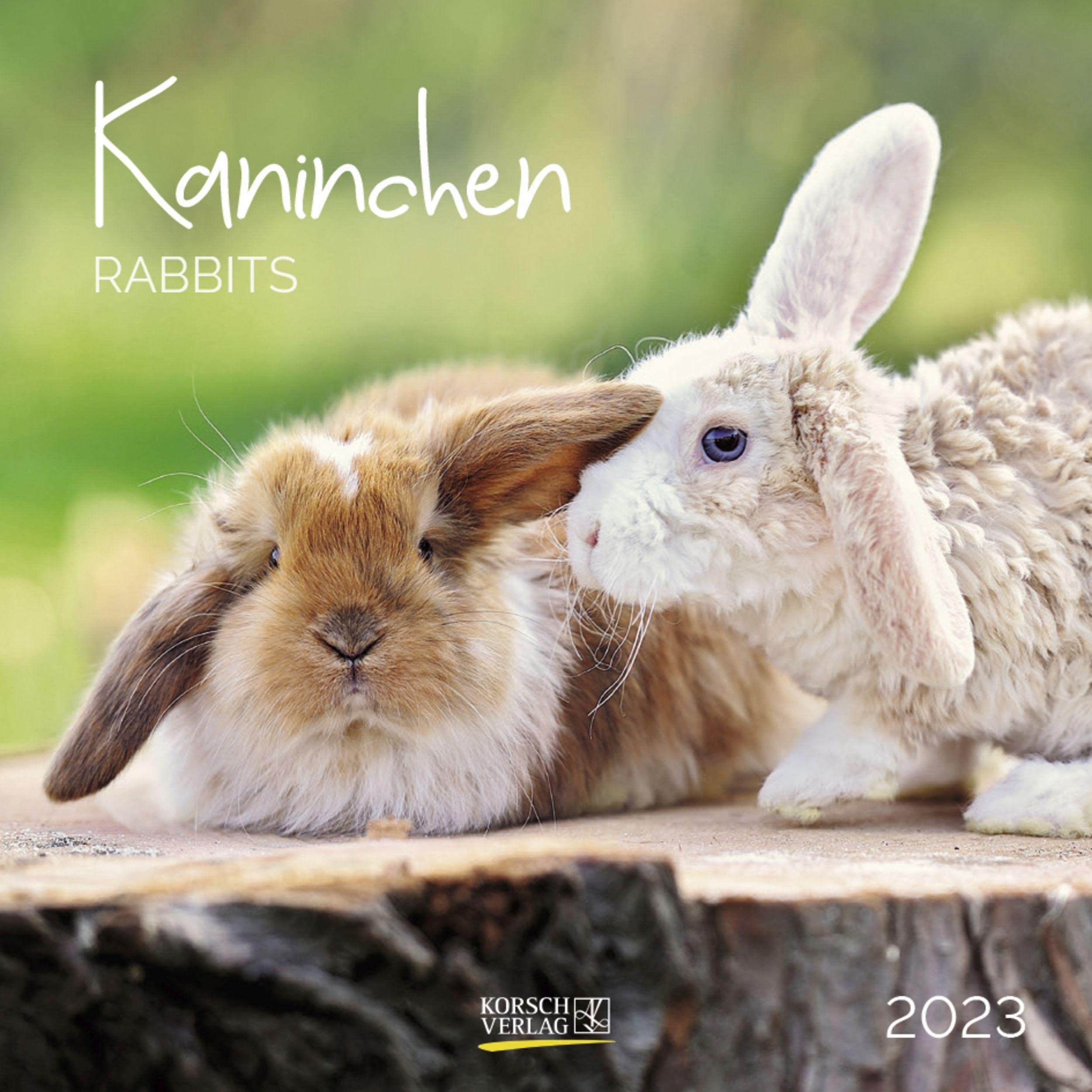 Kaninchen 2023: Broschürenkalender mit Ferienterminen. Format: 30 x 30 cm Pets