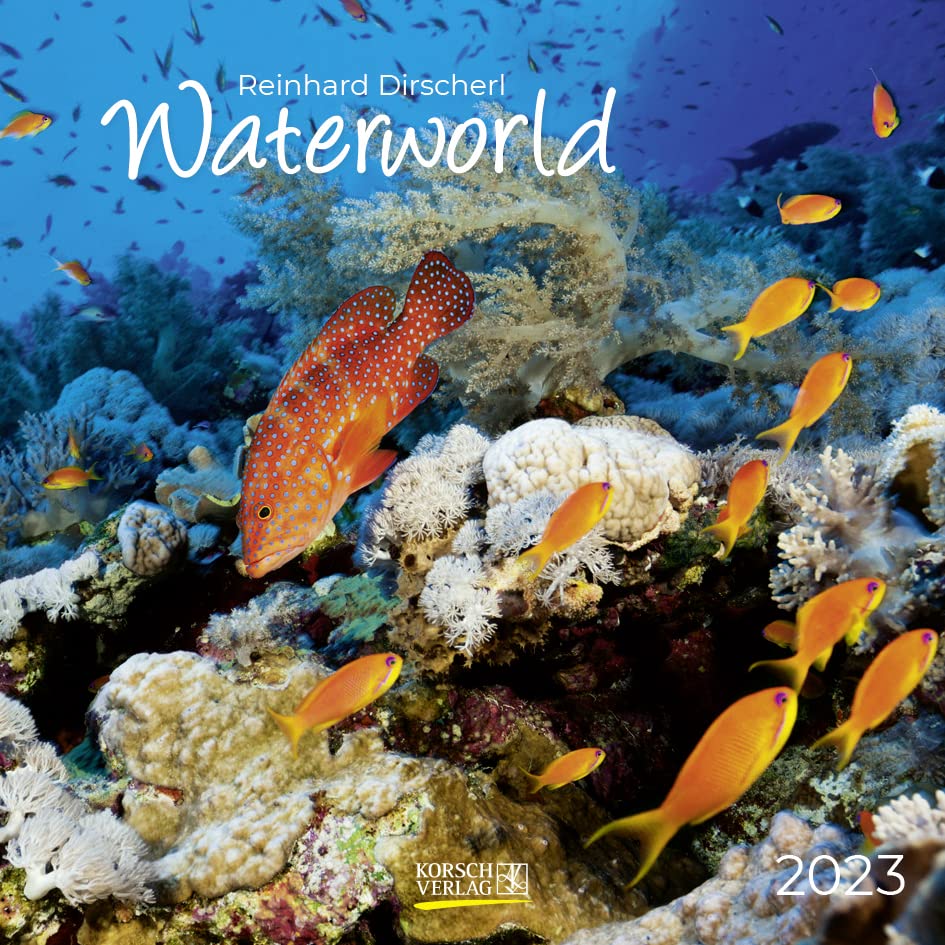 Waterworld 2023: Broschürenkalender mit Ferienterminen. Fische und Unterwasserwelt. 30 x 30 cm Leisure, Home & Garden