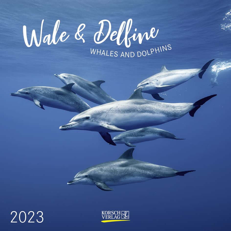 Wale und Delfine 2023: Broschürenkalender mit Ferienterminen. Tierkalender von Fischen. 30 x 30 cm Leisure, Home & Garden
