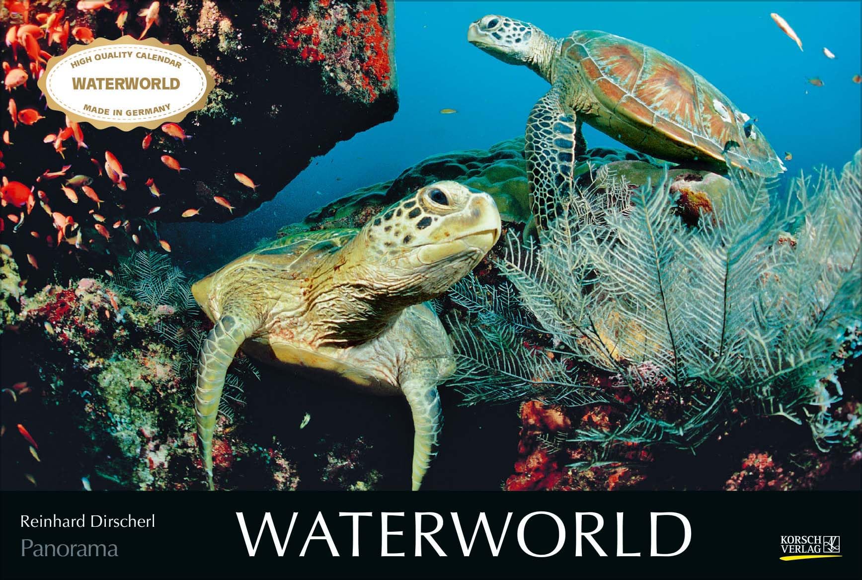 Waterworld 2024: Großer Foto-Wandkalender mit unterwasser-Bildern von Fischen. Edler schwarzer Hintergrund. PhotoArt Panorama Querformat: 58x39 cm. book