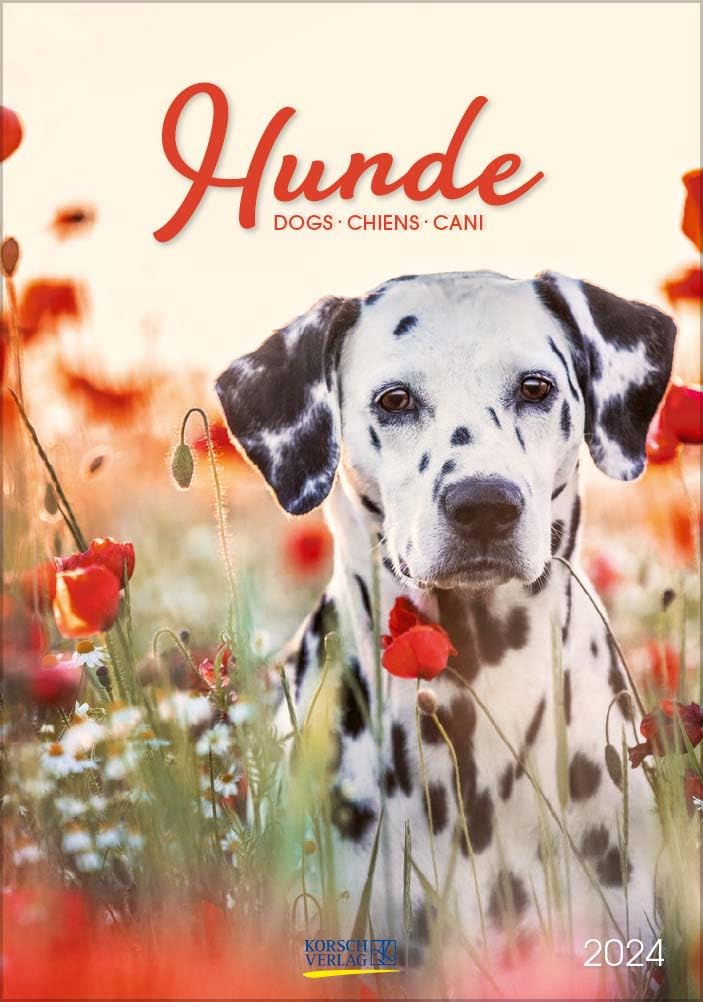 Product Image: Hunde 2024