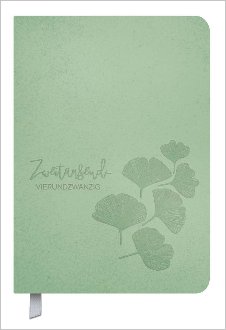 Timer Soft Touch 18 Monate jade 2024/2025: Terminplaner A5 in Lederoptik / Kalendarium von Oktober 2023 bis März 2025, Notizen und Lesezeichenband book
