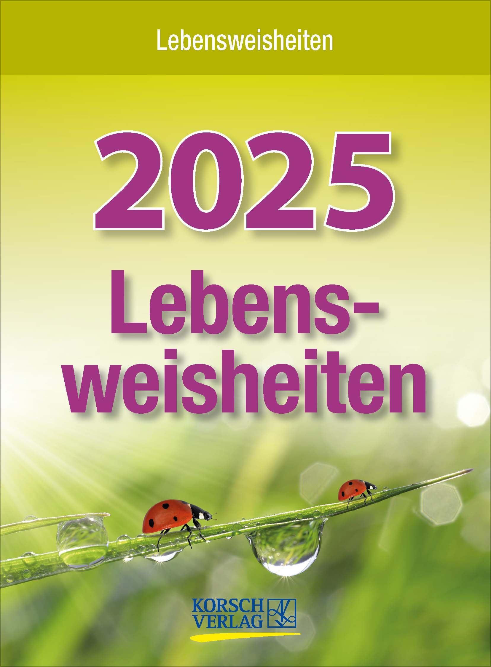 Lebensweisheiten 2025: Tages-Abreisskalender mit einem neuen Spruch für jeden Tag. I Aufstellbar I 12 x 16 cm book