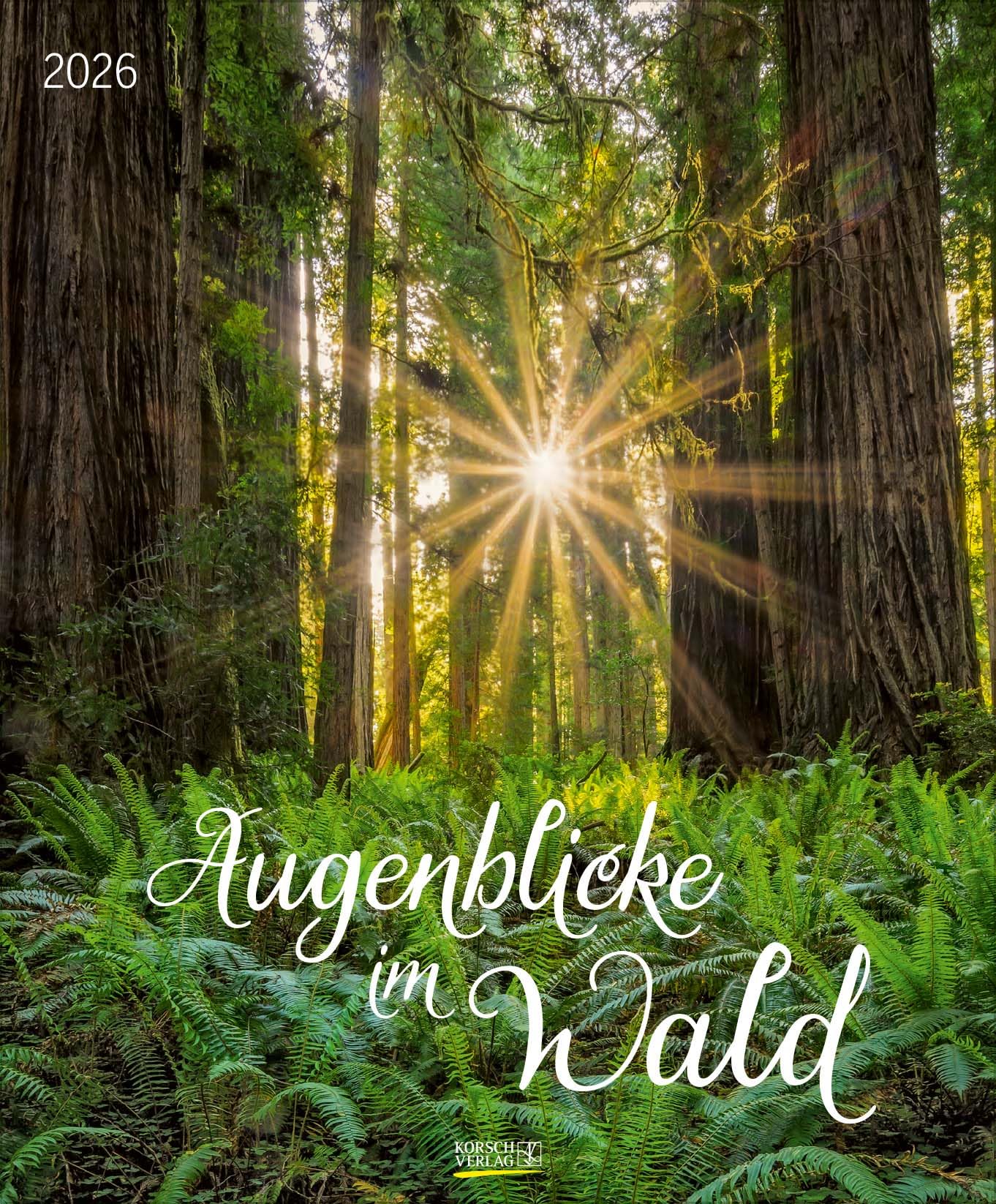 Augenblicke im Wald 2026: Wandkalender groß. Fotokunst-Kalender mit einzigartigen Bildern aus Wäldern. Großformat: 55 x 45,5 cm. Photography