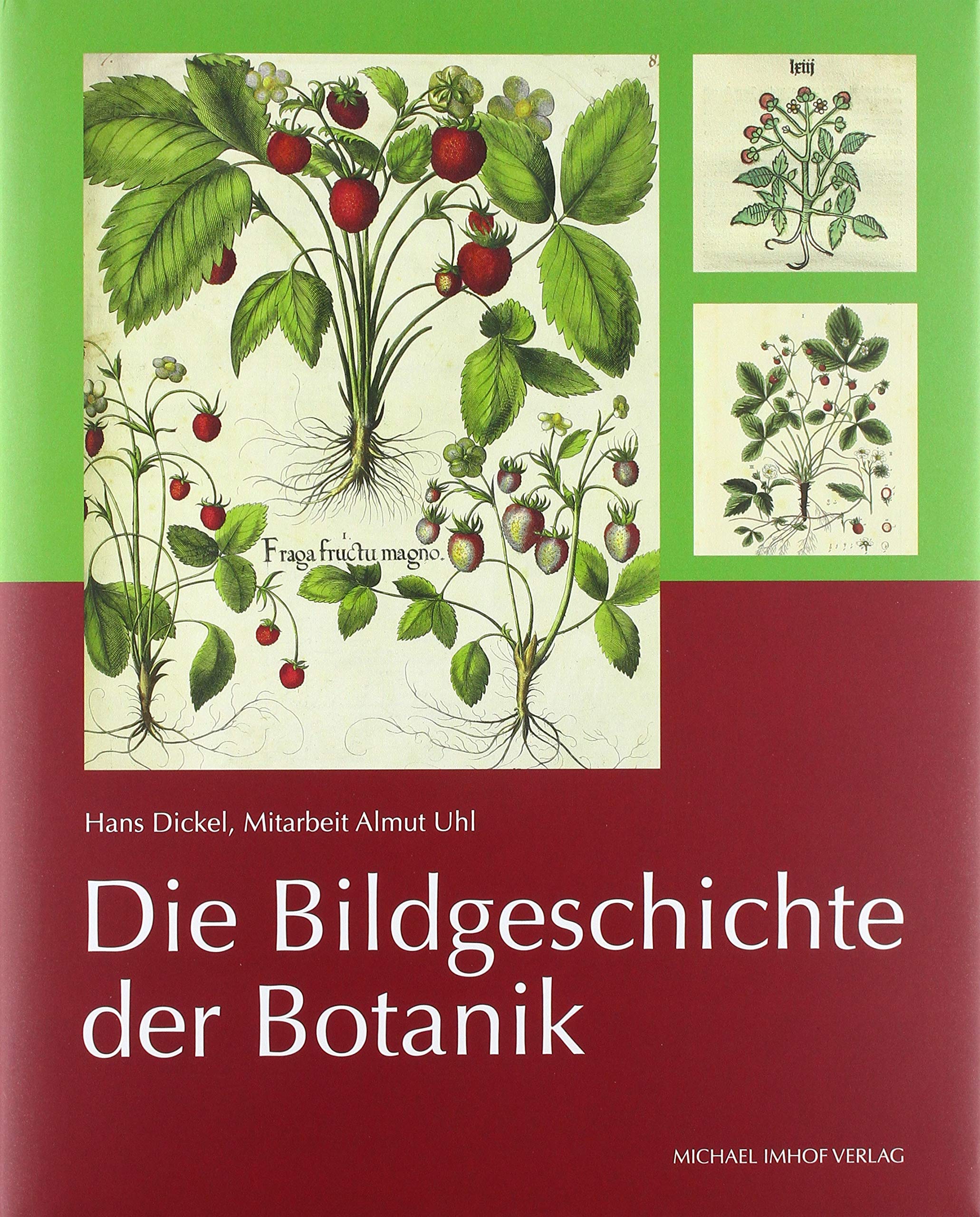Die Bildgeschichte der Botanik - Pflanzendarstellungen aus vier Jahrhunderten in der Sammlung Dr. Christoph Jacob Trew (1695 1769) Film, Art & Culture