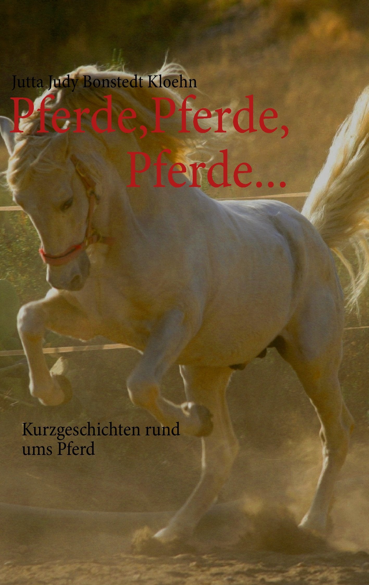 Pferde, Pferde, Pferde... Contemporary literature