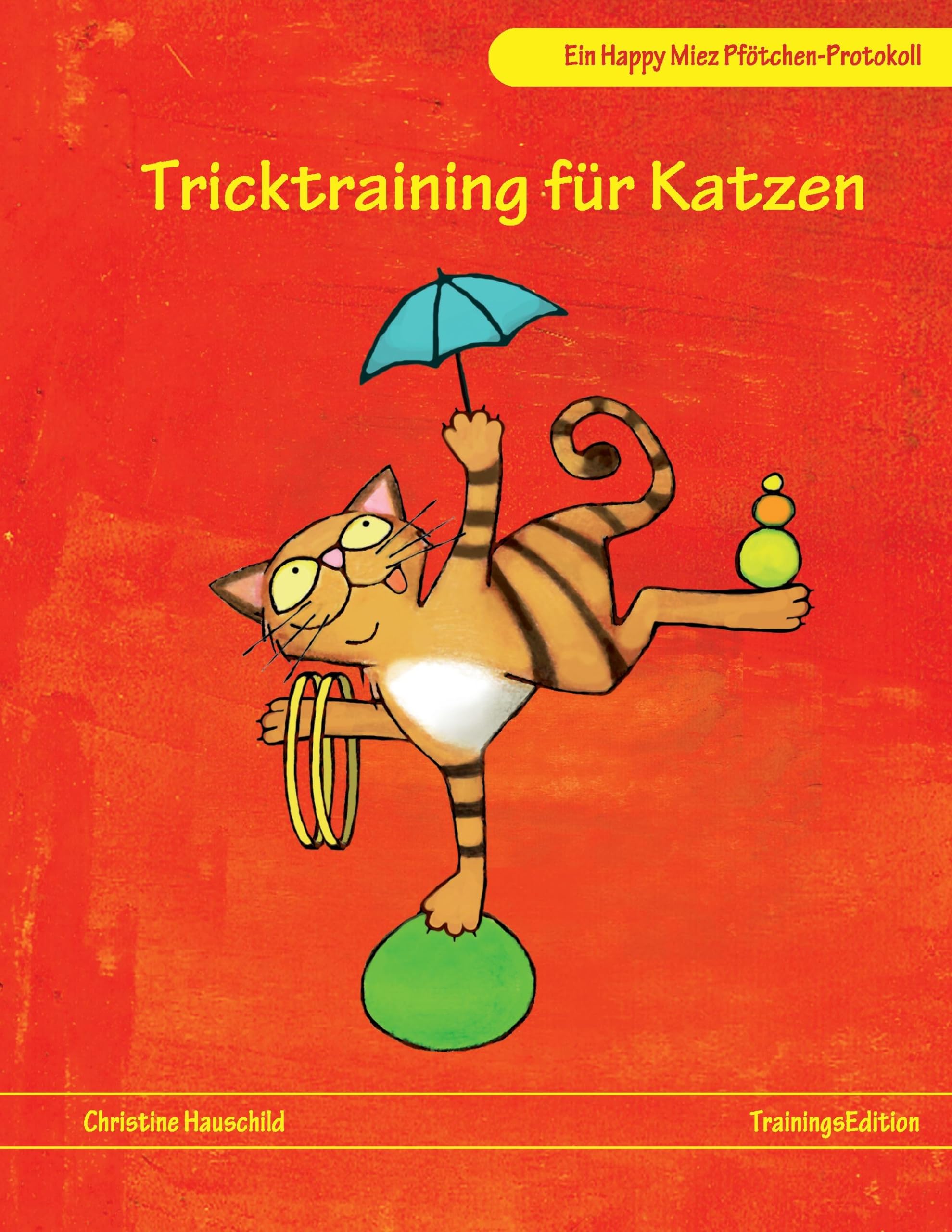 Tricktraining für Katzen book