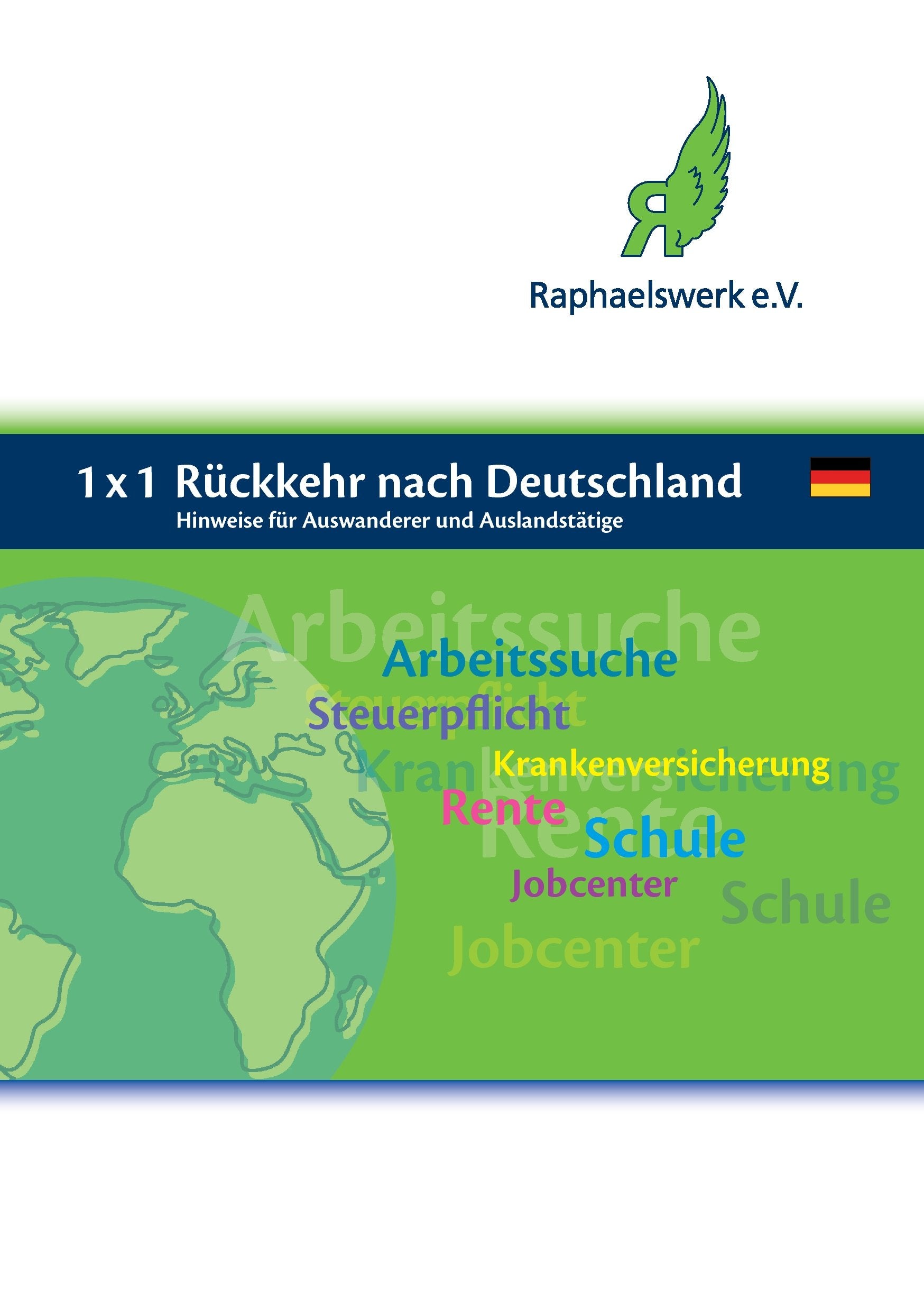 1 x 1 Rückkehr nach Deutschland: Hinweise für Auswanderer und Auslandstätige Reference Books