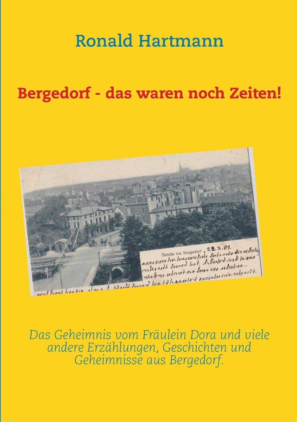 Bergedorf - das waren noch Zeiten! Politics & History books