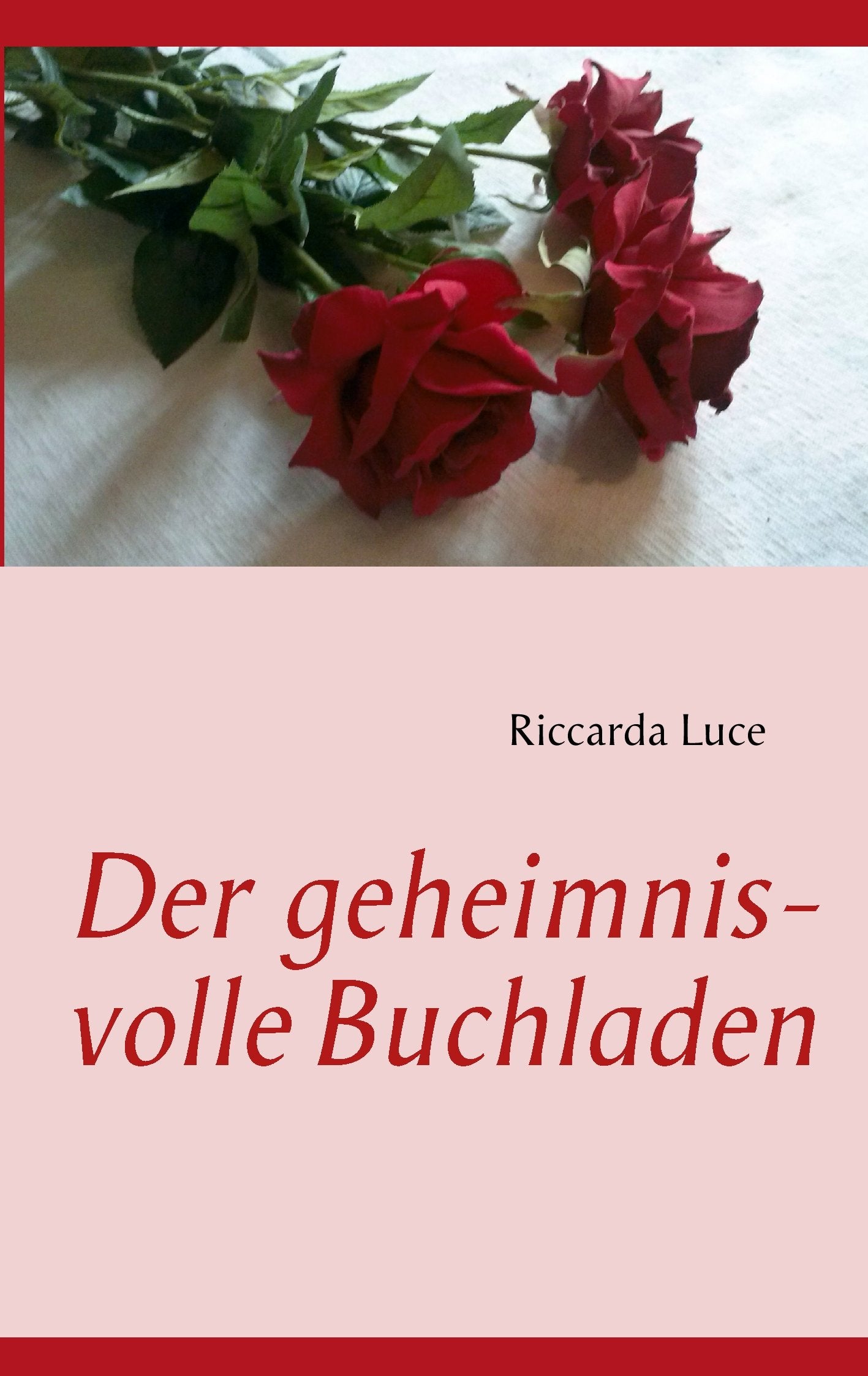 Der geheimnisvolle Buchladen Contemporary literature
