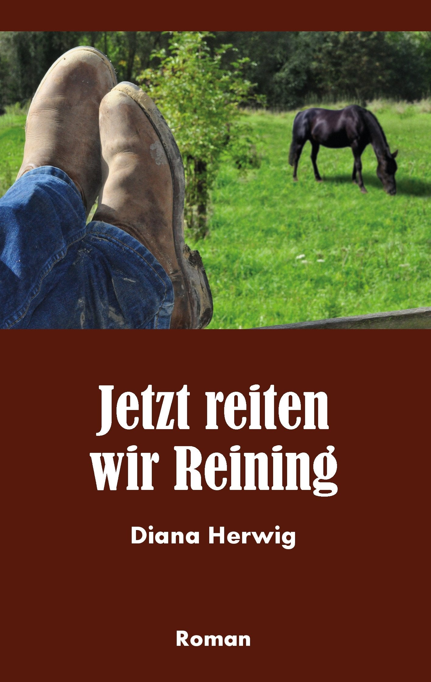 Jetzt reiten wir Reining Contemporary literature