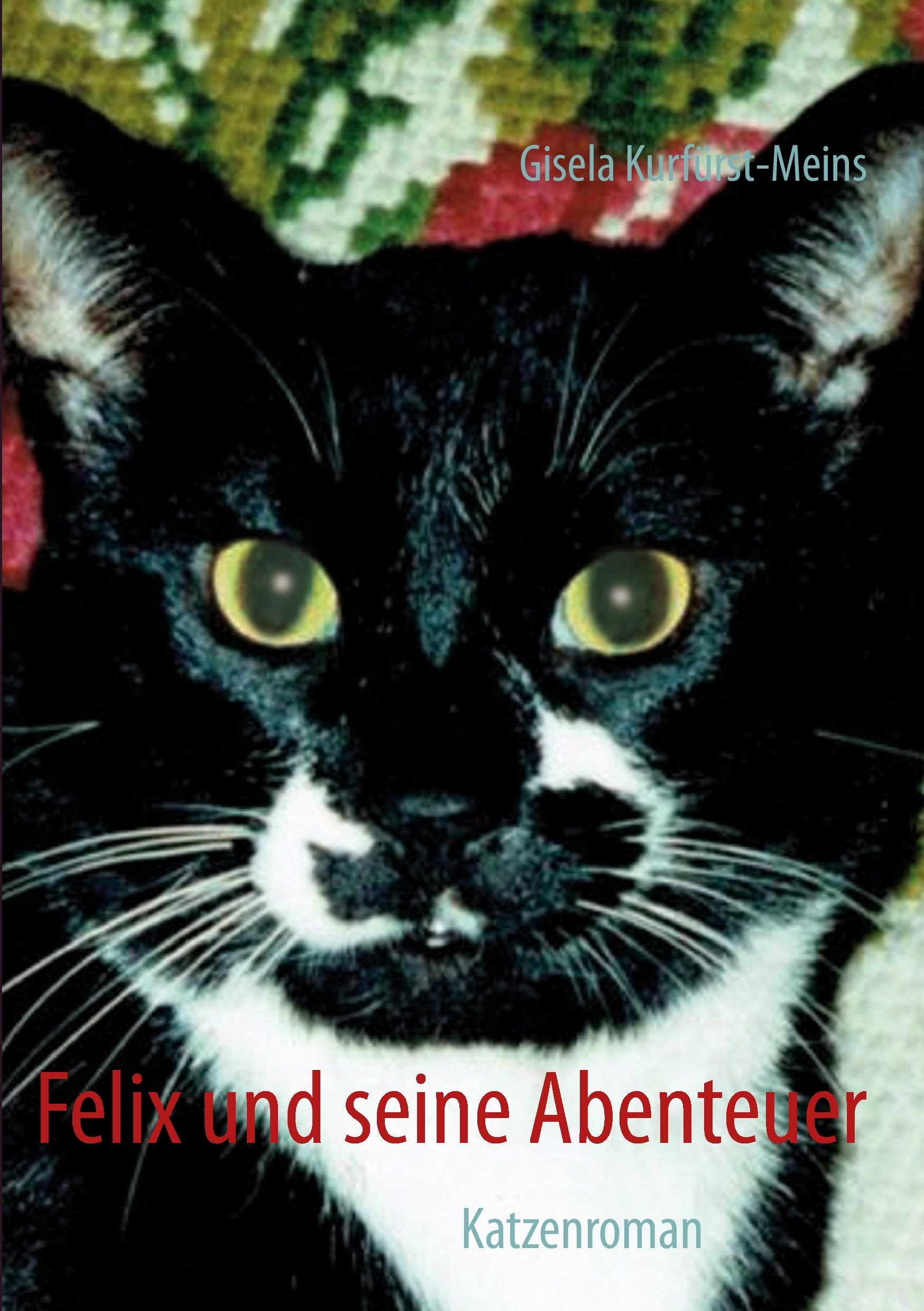 Felix und seine Abenteuer Contemporary literature