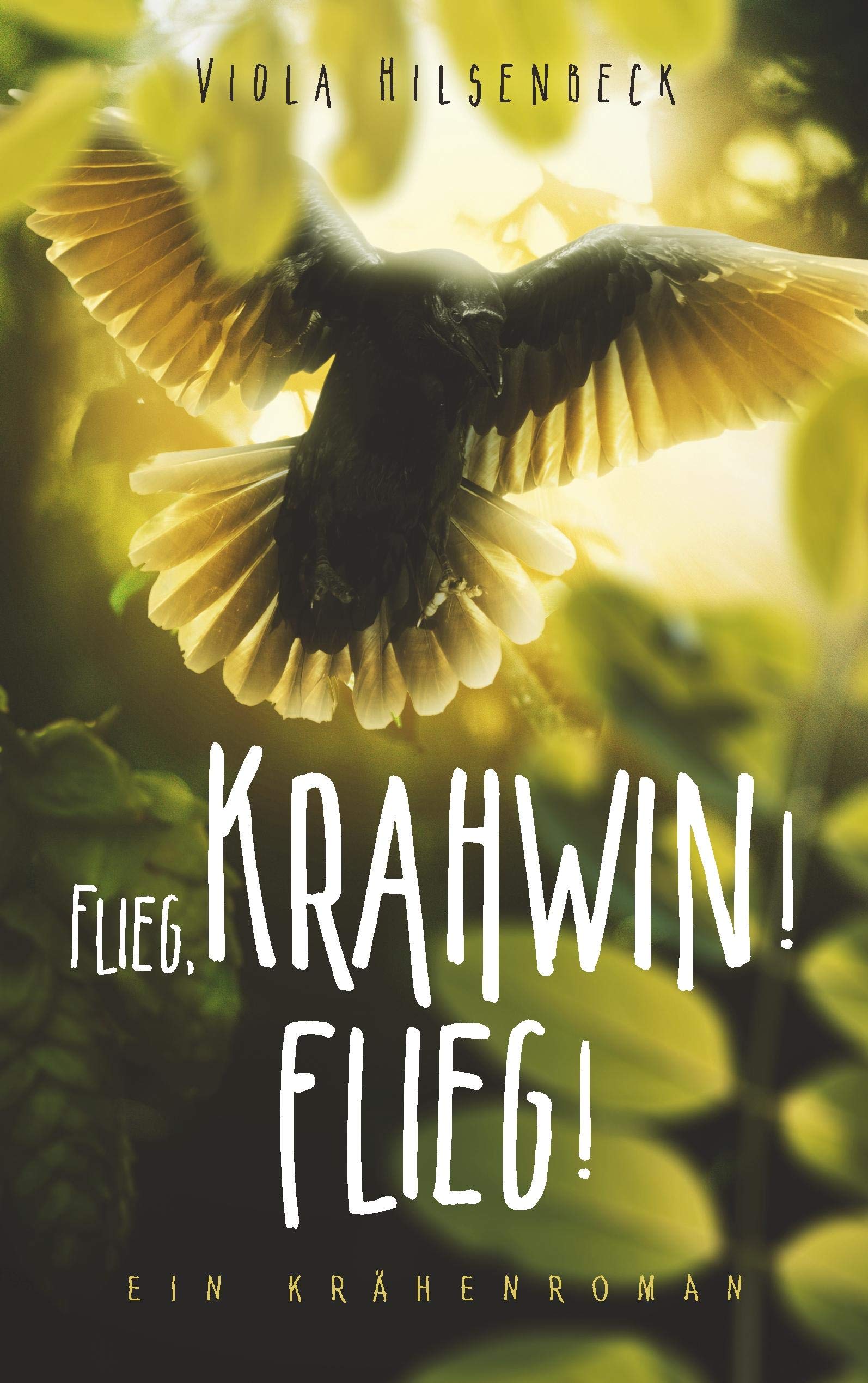 Flieg, Krahwin! Flieg! Contemporary literature Books