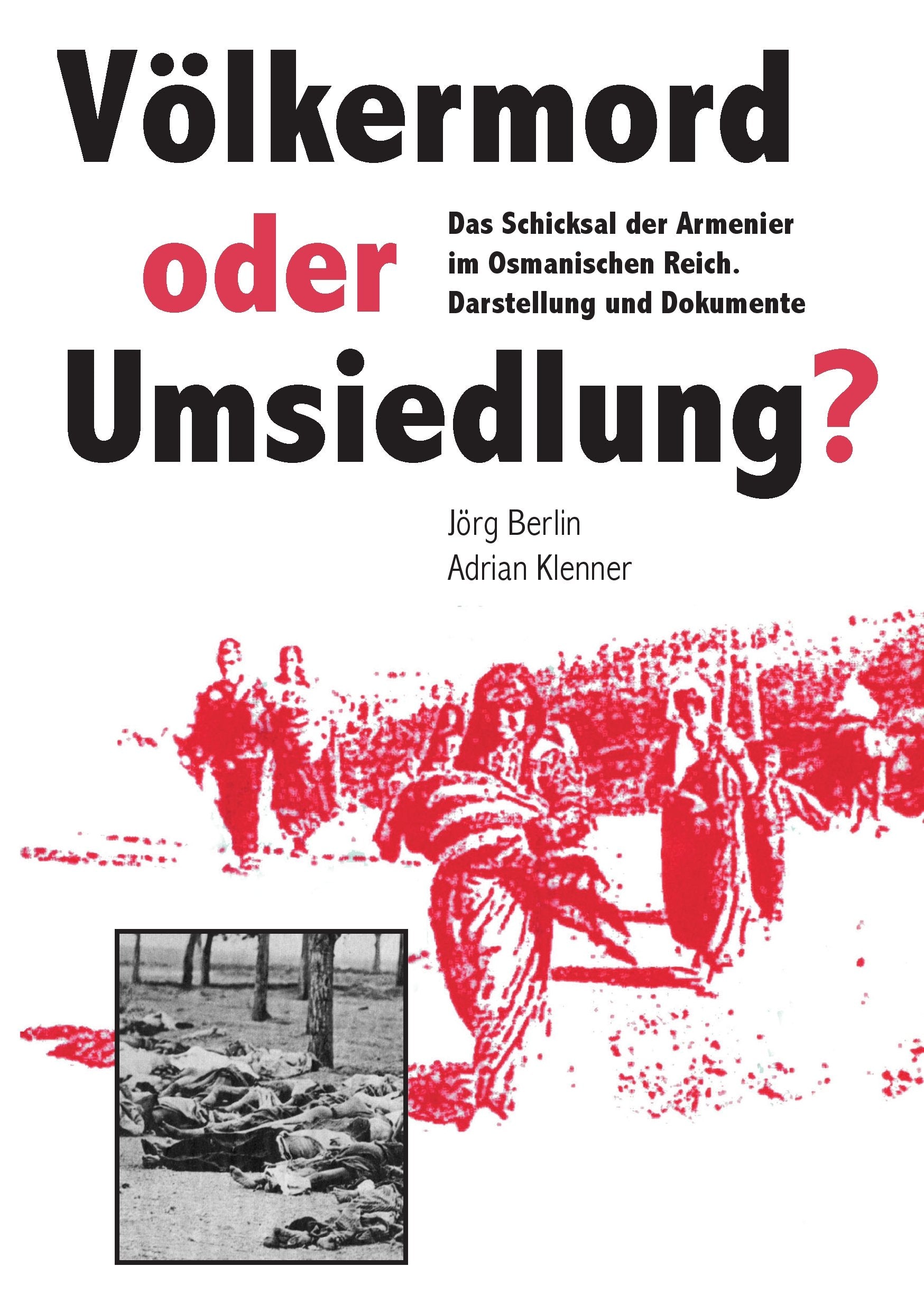 Völkermord oder Umsiedlung?: Das Schicksal der Armenier im Osmanischen Reich. Darstellung und Dokumente Politics & History