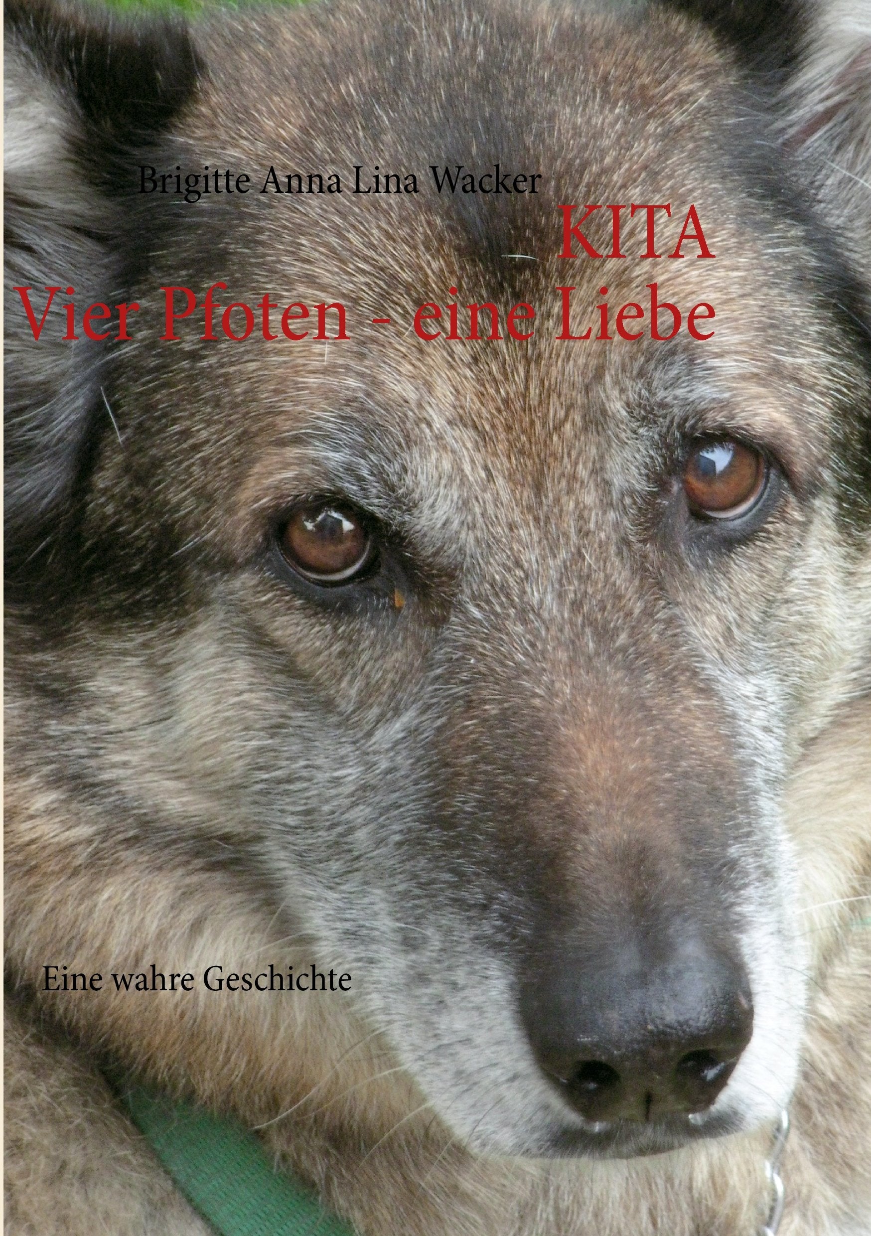 Kita Vier Pfoten - eine Liebe: Eine wahre Geschichte Contemporary literature