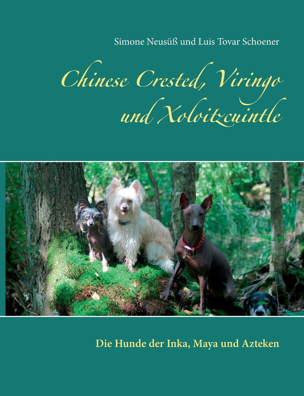 Chinese Crested, Viringo und Xoloitzcuintle: Die Hunde der Inka, Maya und Azteken Pets