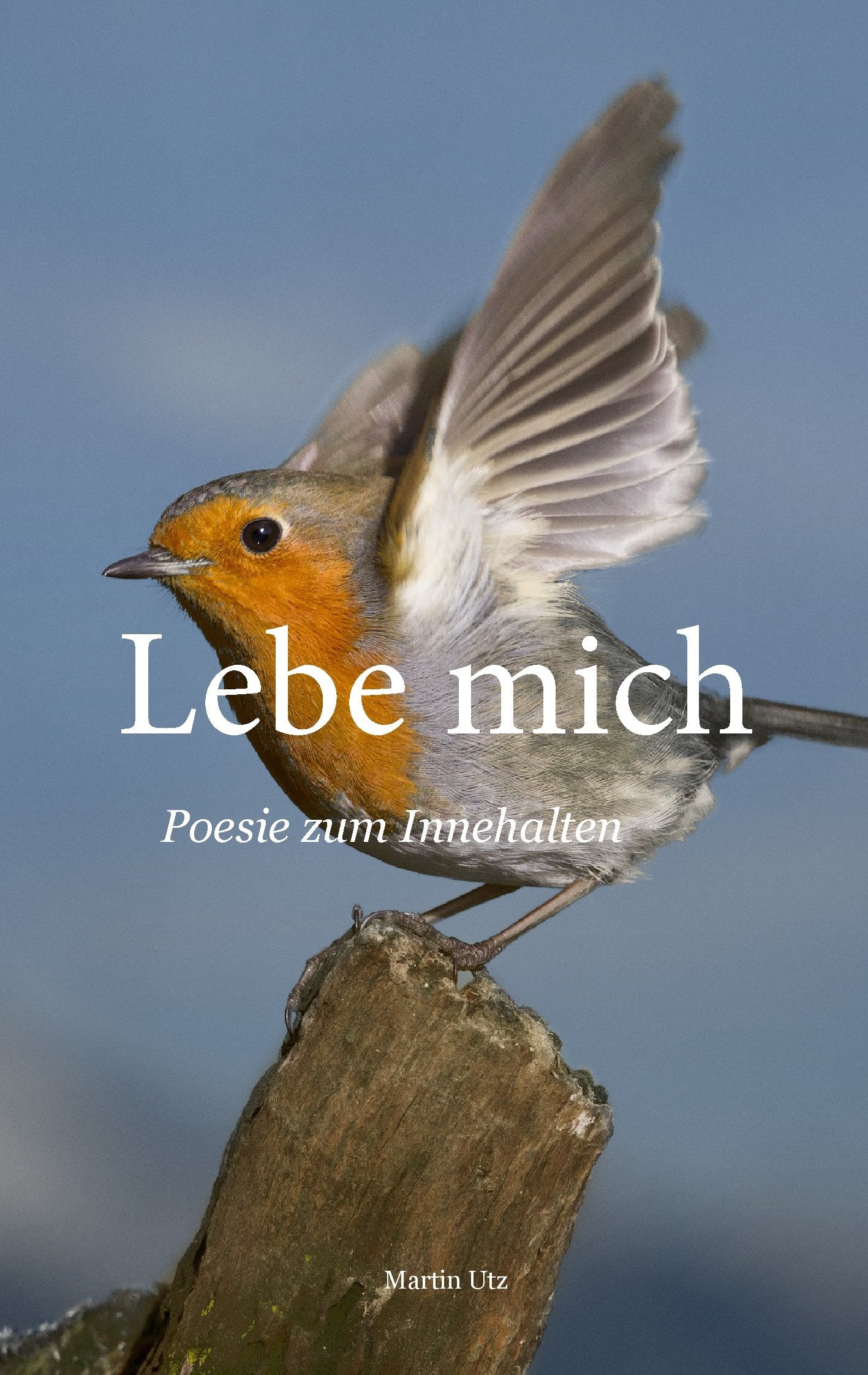 Lebe mich: Poesie zum Innehalten Poetry