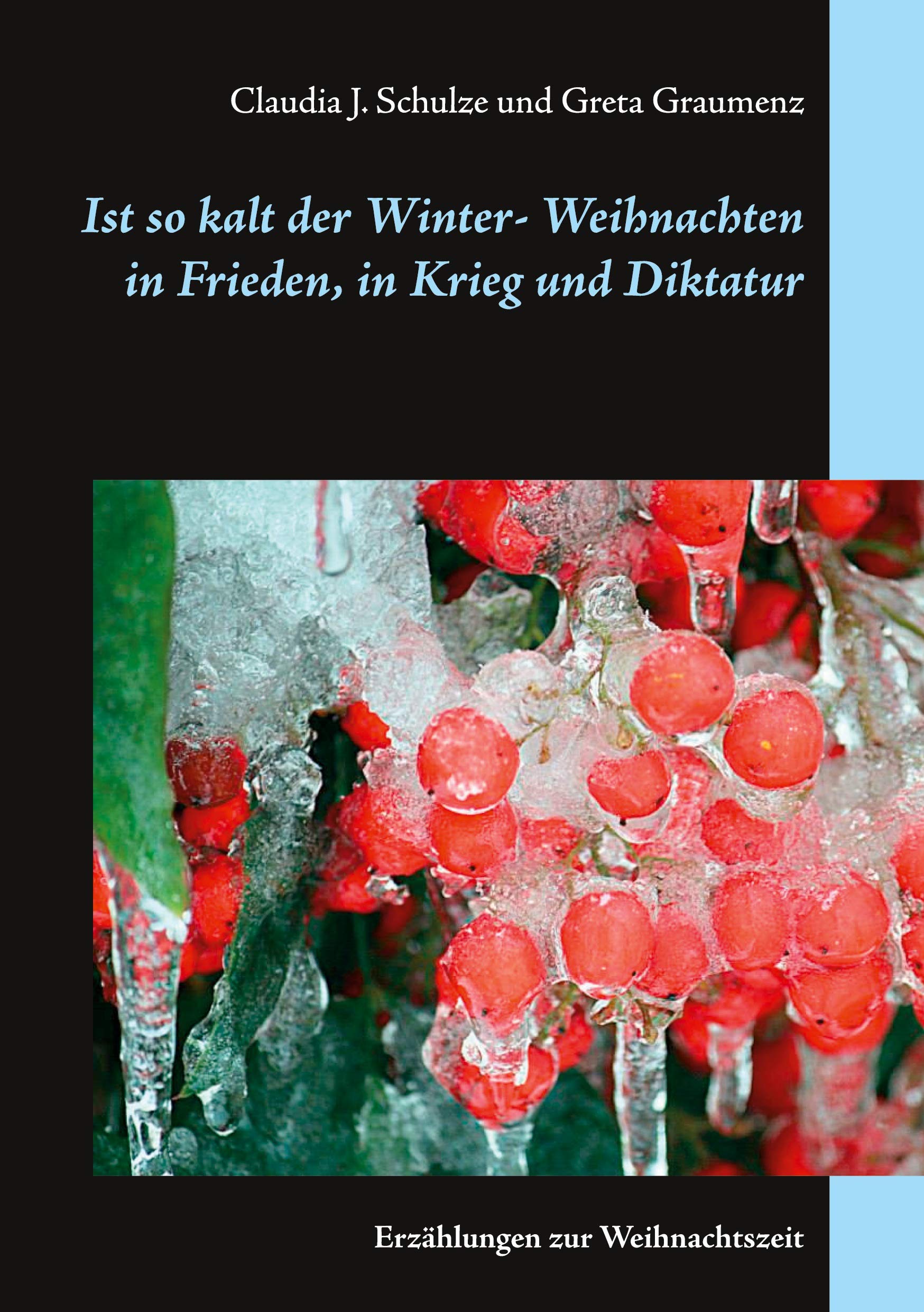 Ist so kalt der Winter Contemporary literature Books