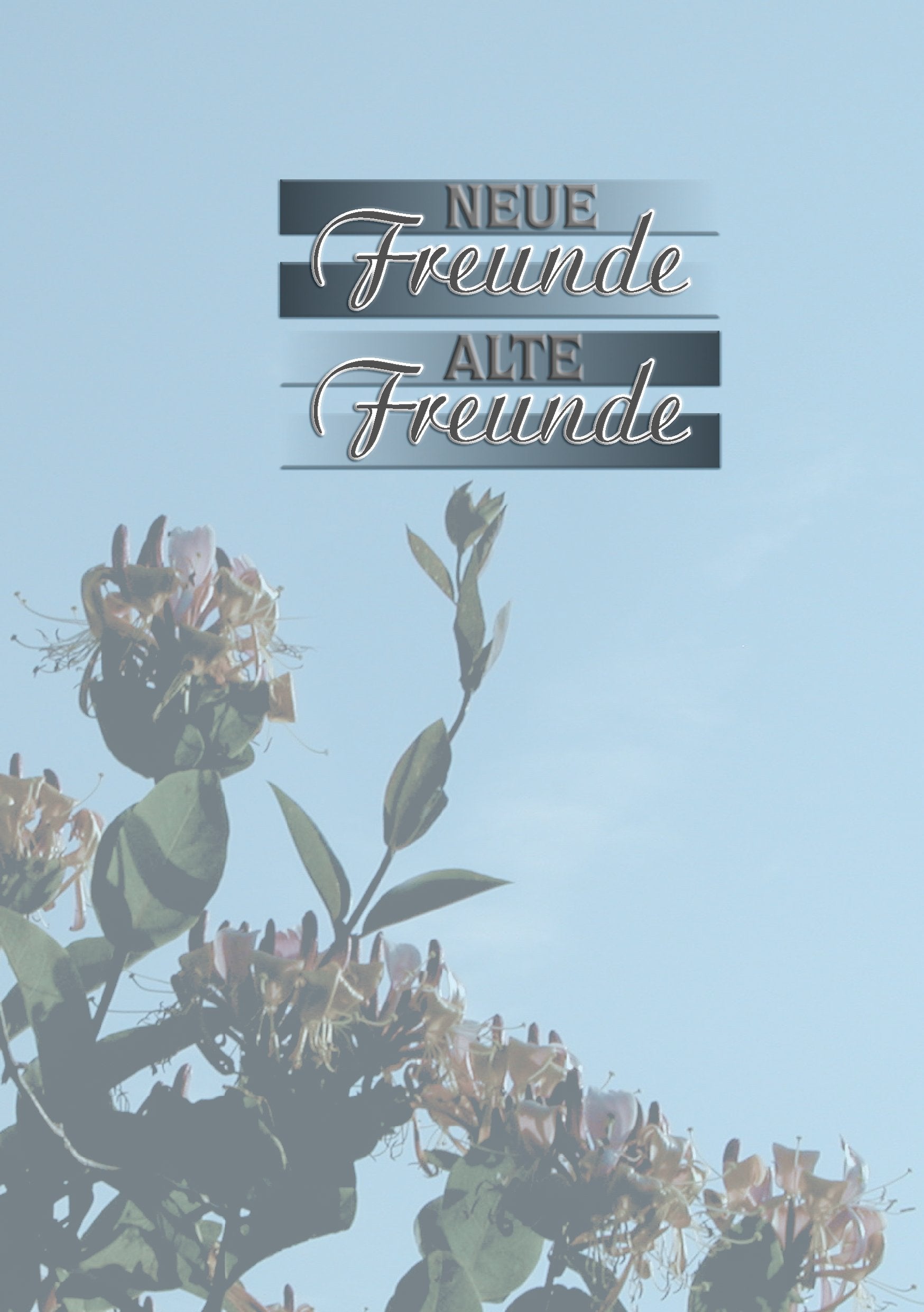 Neue Freunde - Alte Freunde: Gedichte Poetry