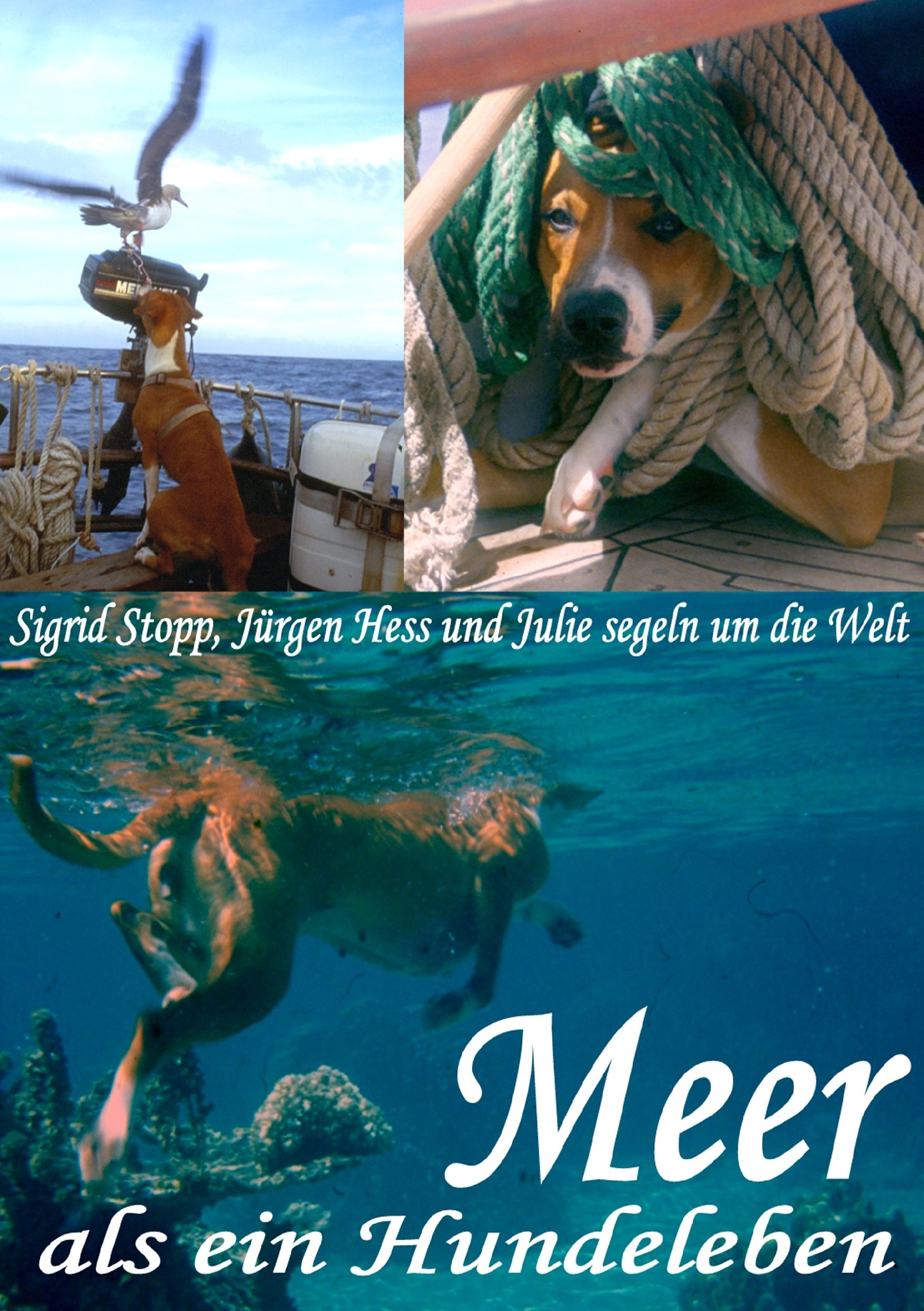 Meer als ein Hundeleben: mit allen Wasser gewaschen Contemporary literature