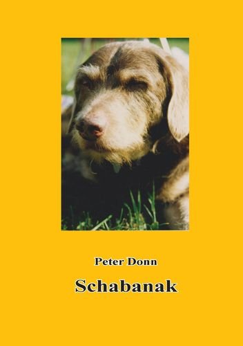 Schabanak Contemporary literature