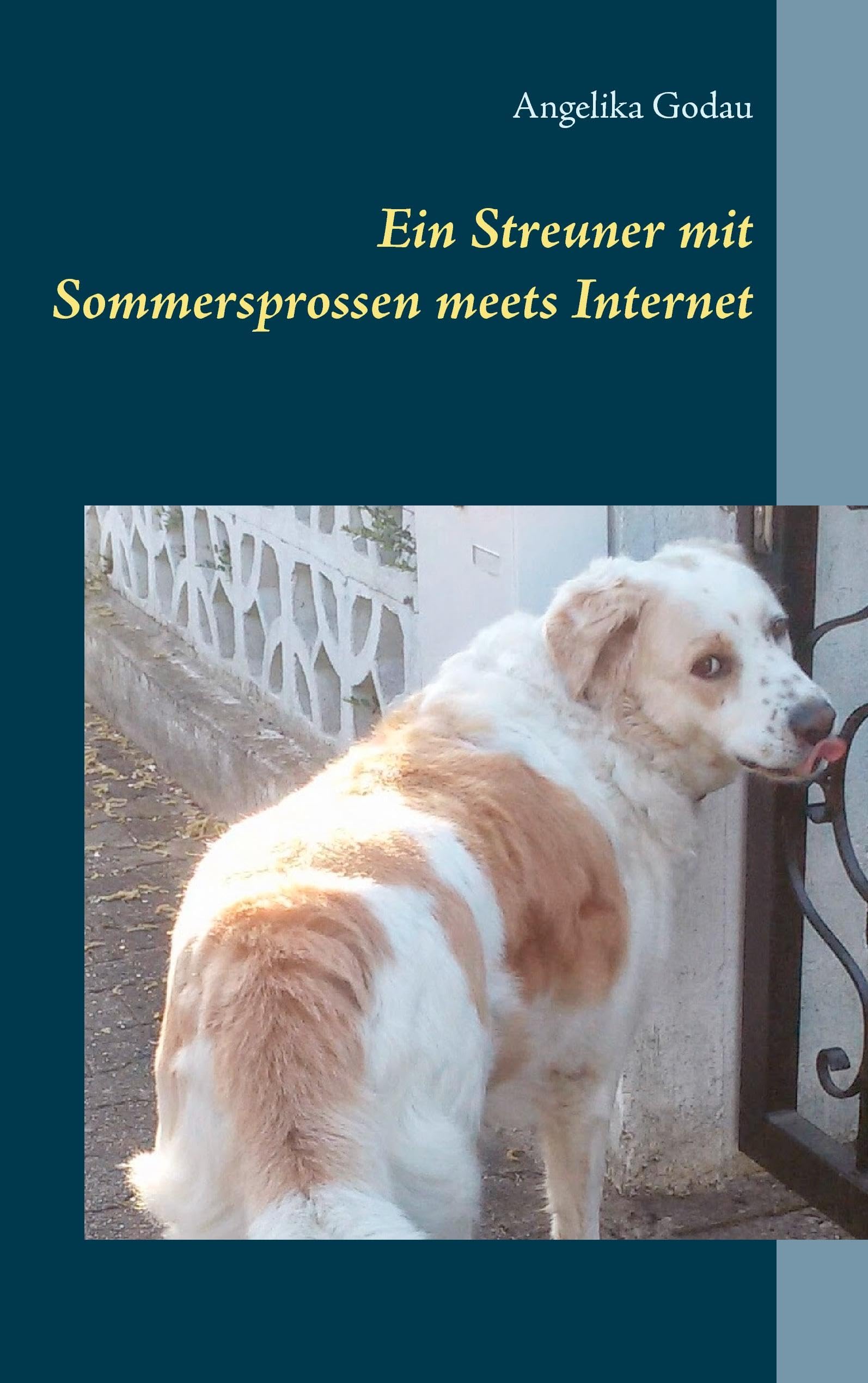 Ein Streuner mit Sommersprossen meets Internet Contemporary literature