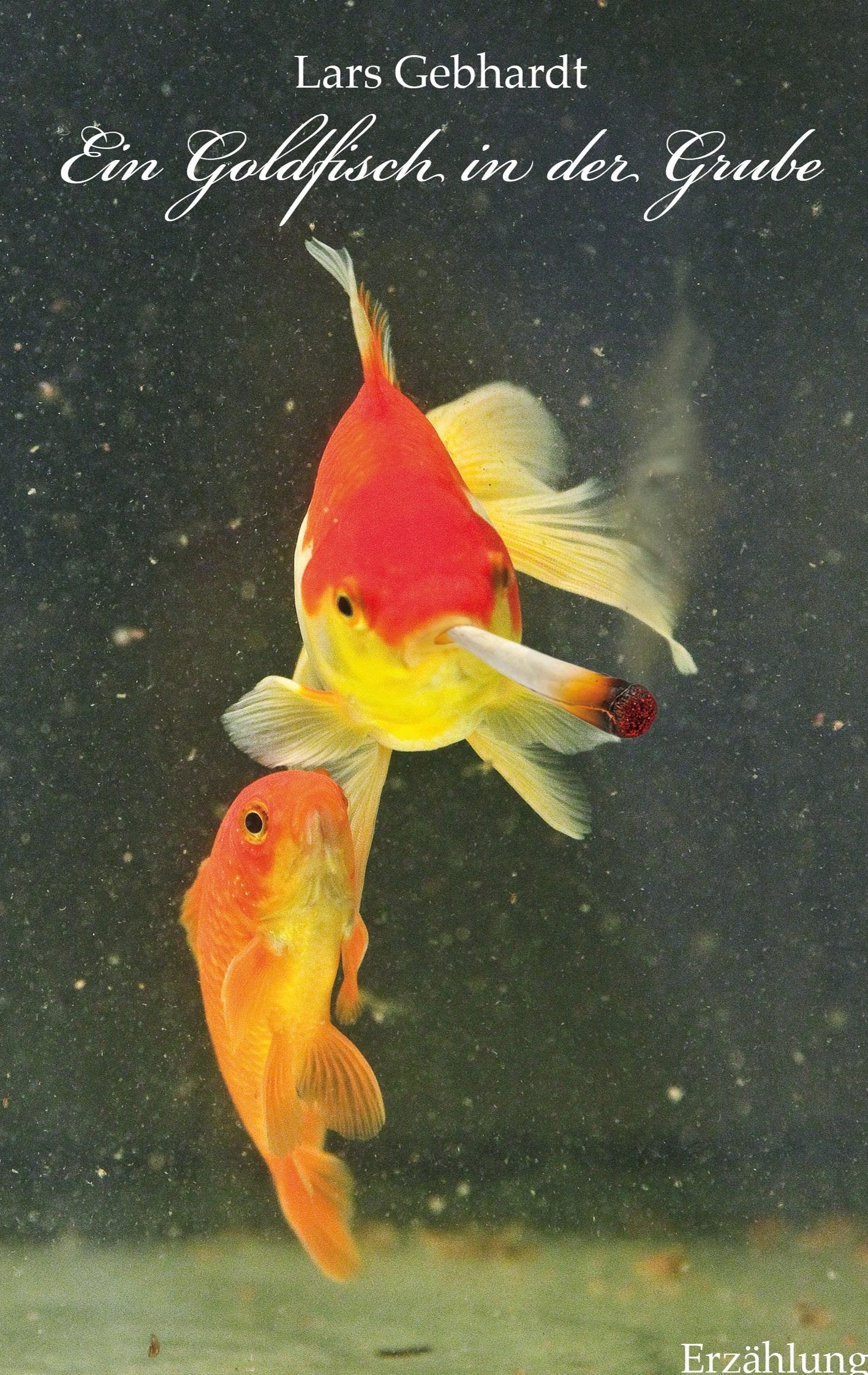 Ein Goldfisch in der Grube Contemporary literature Books