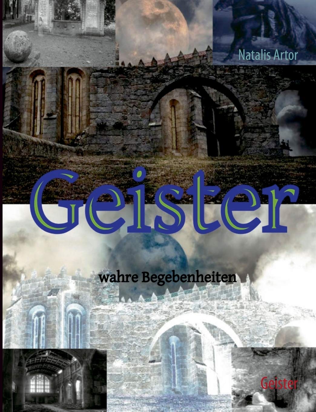 Geister - wahre Begebenheiten book