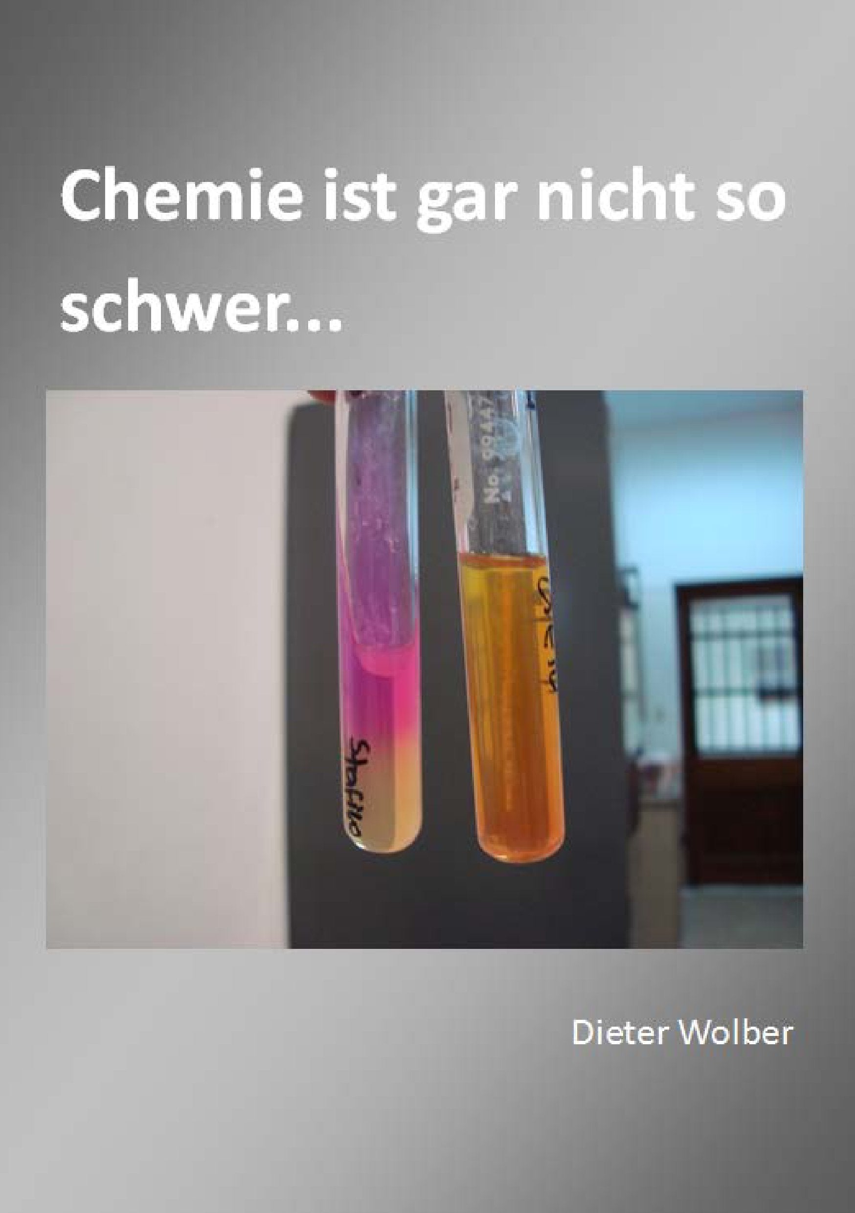 Chemie ist gar nicht so schwer...: Grundlagen book