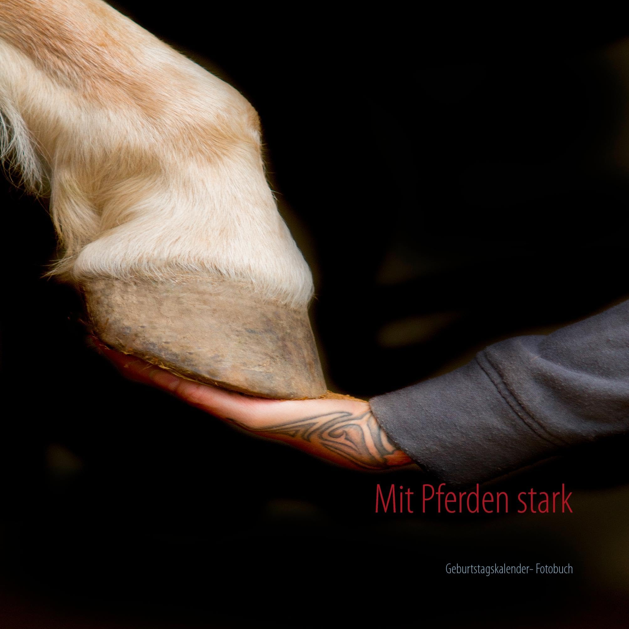 Mit Pferden stark: Geburtstagskalender- Fotobuch Contemporary literature