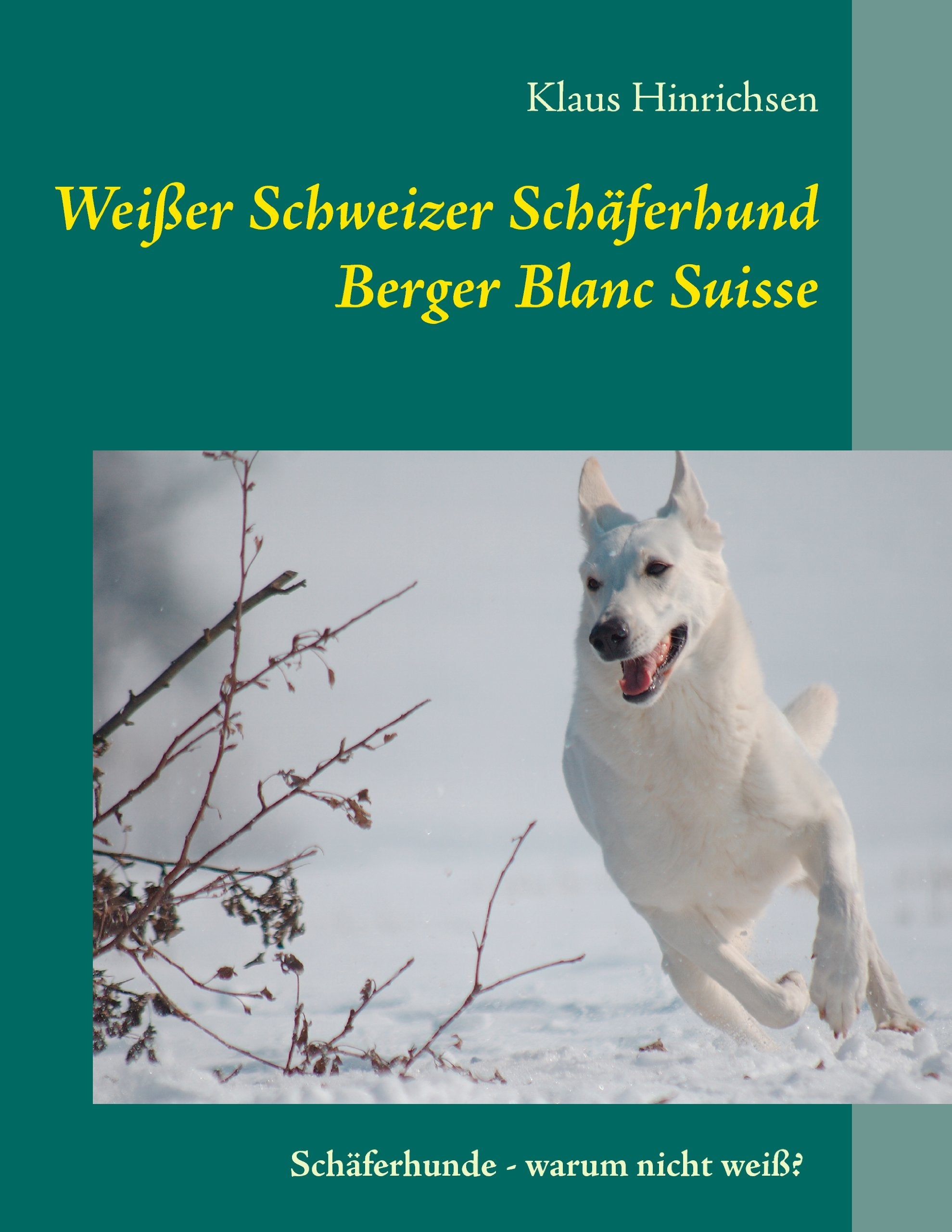 Weißer Schweizer Schäferhund: Berger Blanc Suisse: Schäferhunde - warum nicht weiß? Pets
