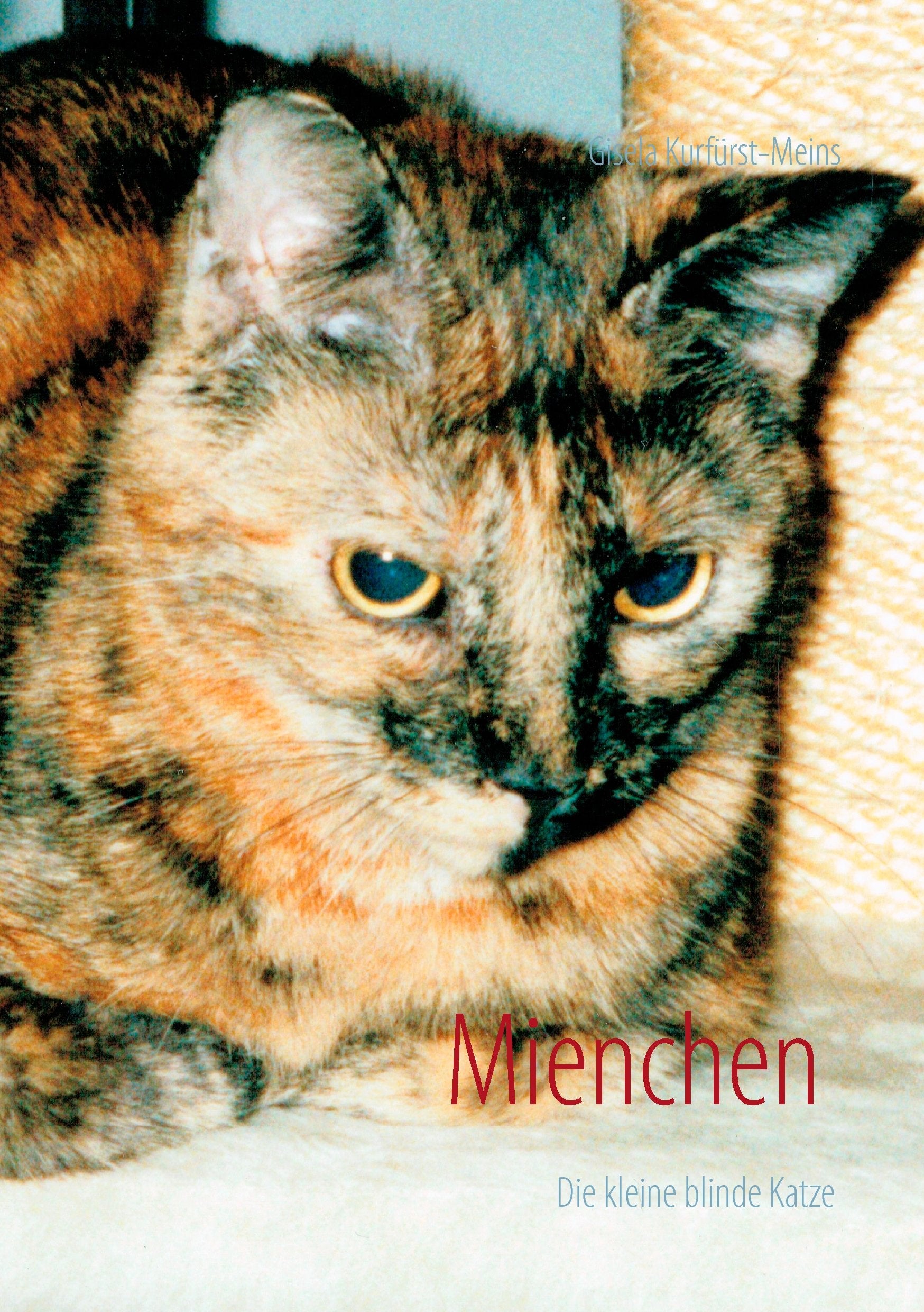 Mienchen die kleine blinde Katze book