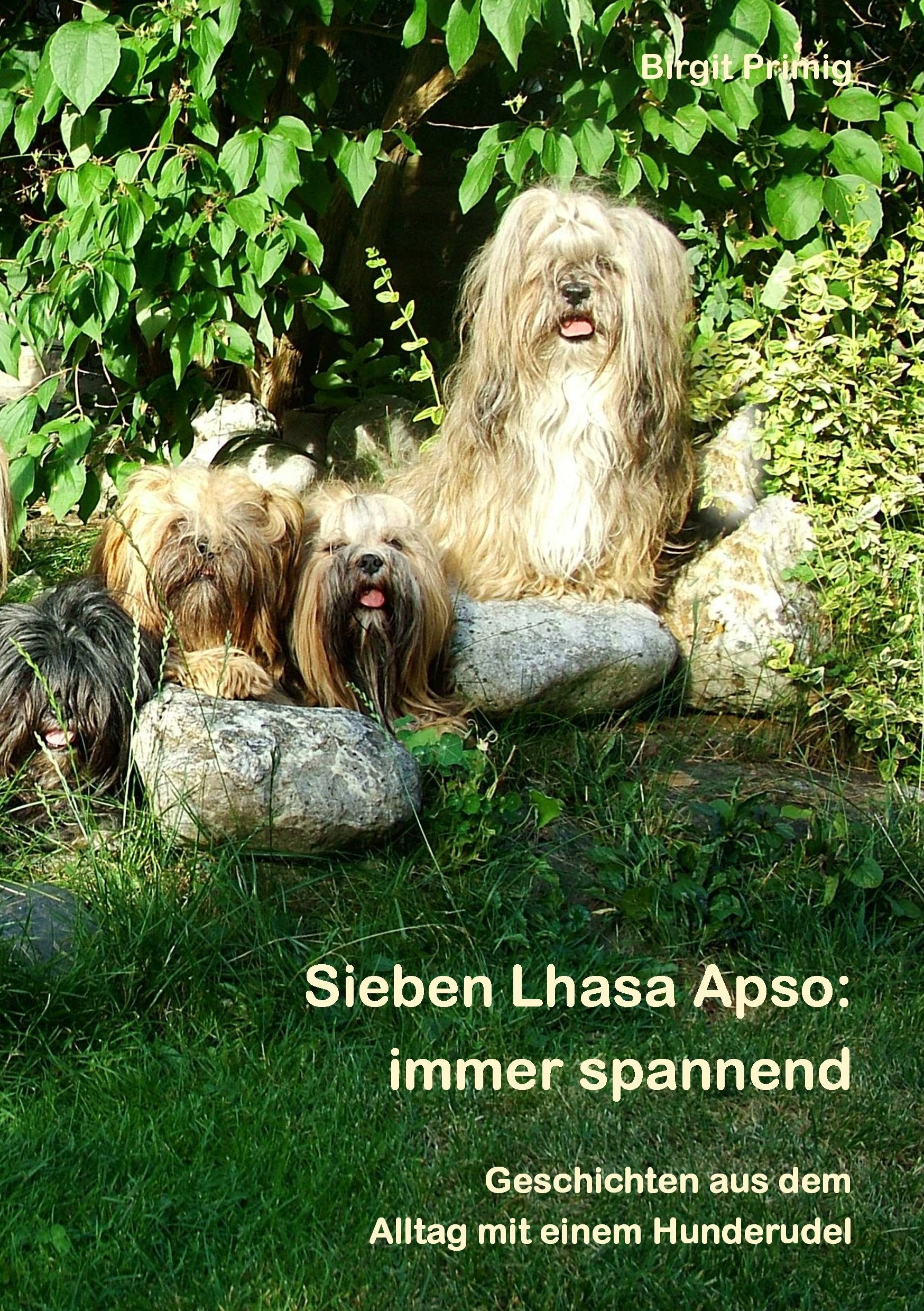 Sieben Lhasa Apso: immer spannend Essays & Short Stories