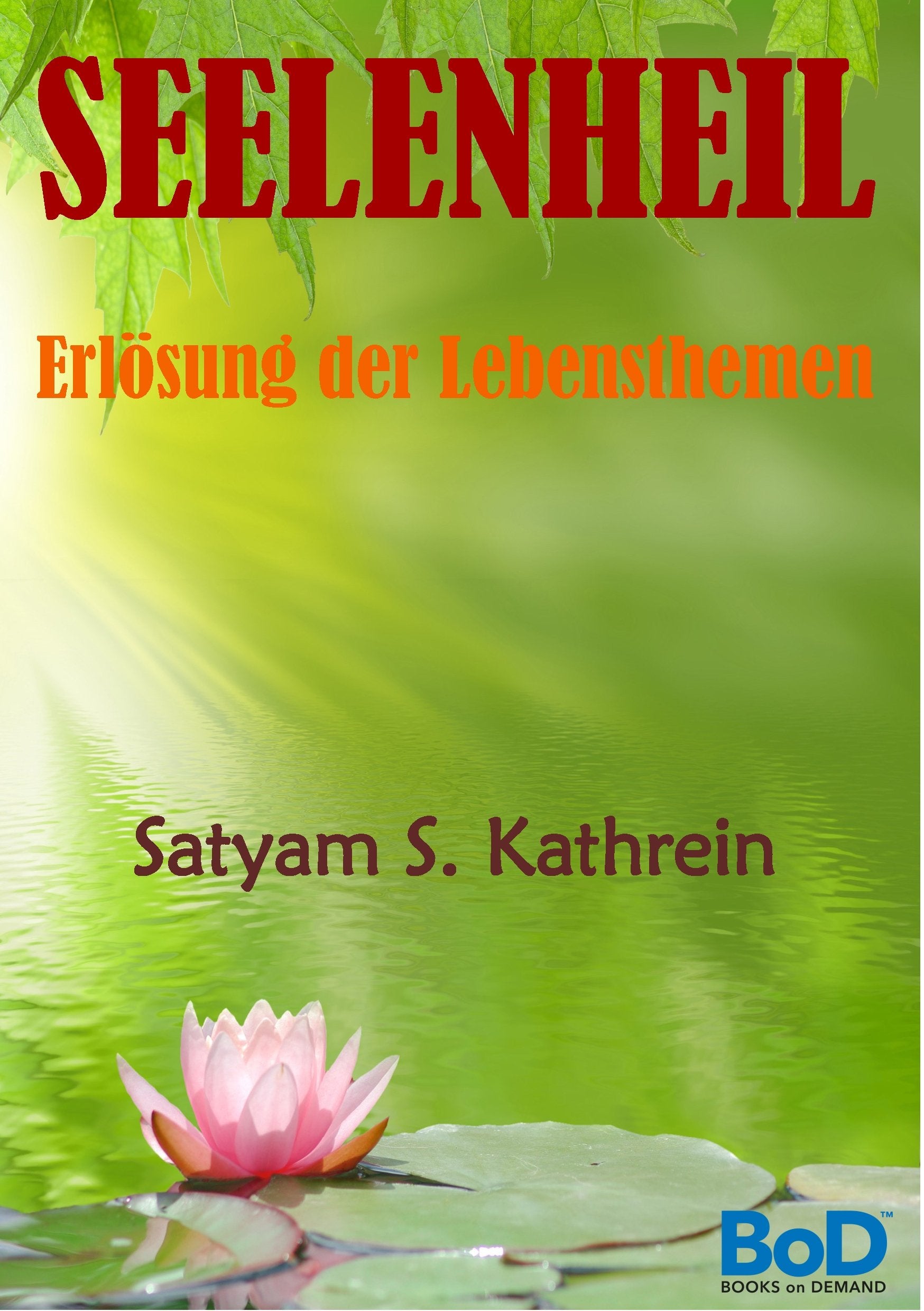 Seelenheil: Erlösung der Lebensthemen Religion & Esotericism